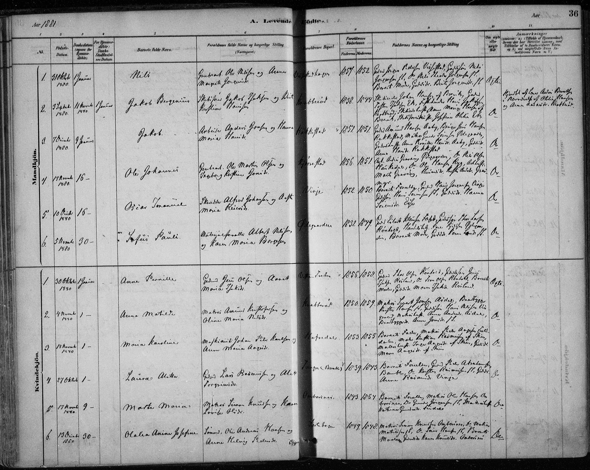 Bamble kirkebøker, AV/SAKO-A-253/F/Fa/L0007: Ministerialbok nr. I 7, 1878-1888, s. 36