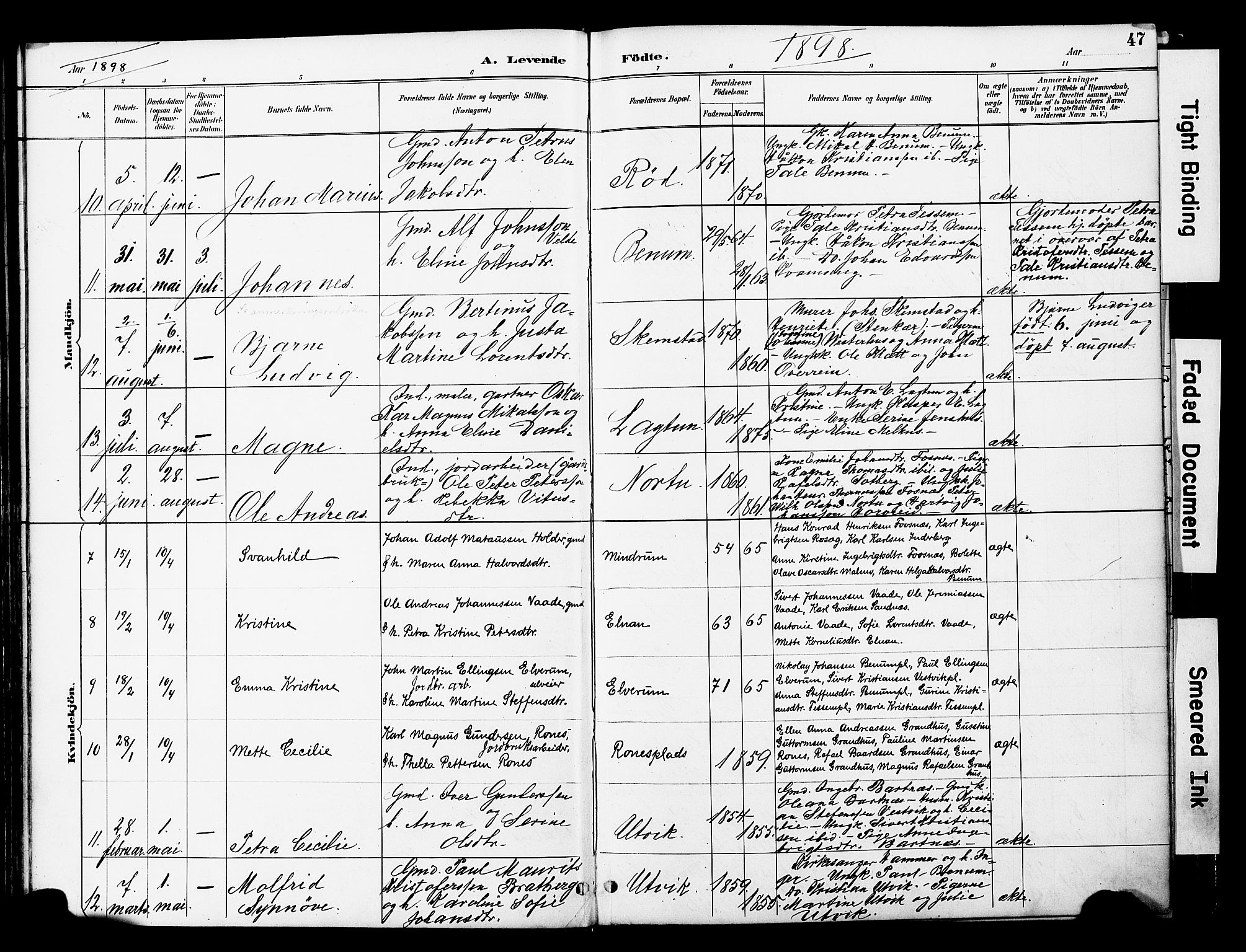 Ministerialprotokoller, klokkerbøker og fødselsregistre - Nord-Trøndelag, SAT/A-1458/741/L0396: Ministerialbok nr. 741A10, 1889-1901, s. 47