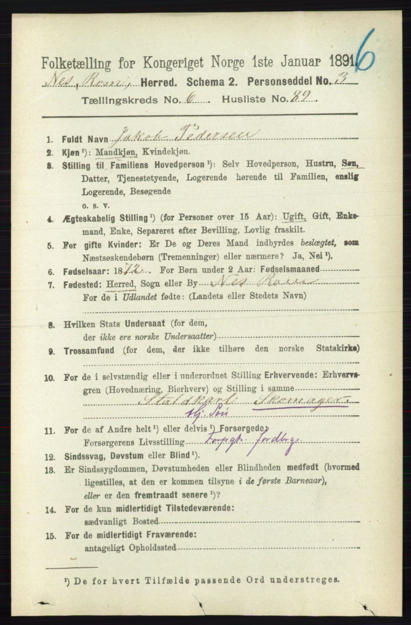 RA, Folketelling 1891 for 0236 Nes herred, 1891, s. 3929