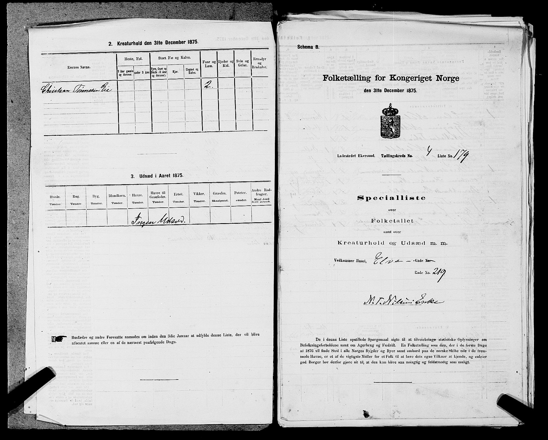 SAST, Folketelling 1875 for 1101B Eigersund prestegjeld, Egersund ladested, 1875, s. 384