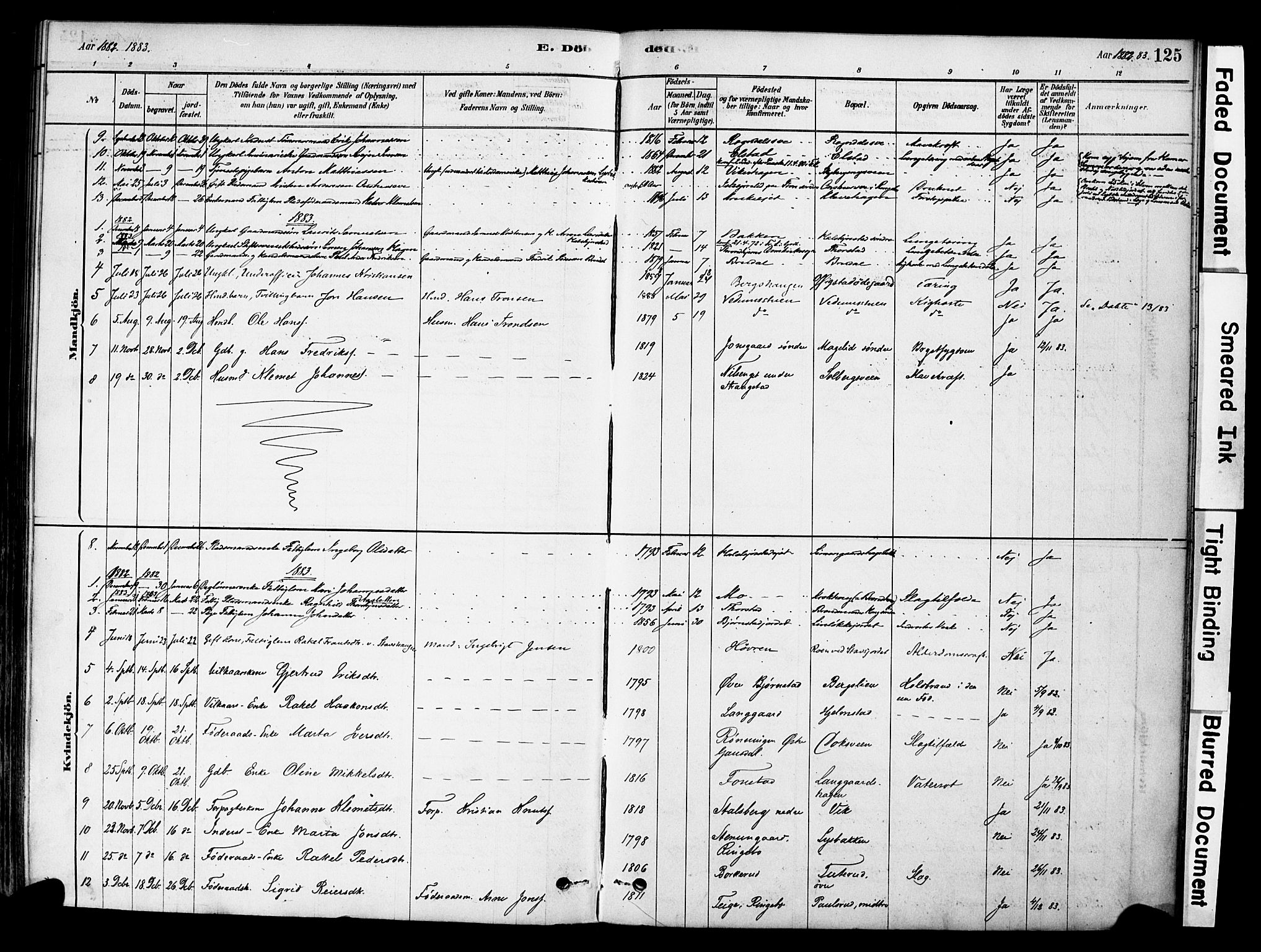 Øyer prestekontor, AV/SAH-PREST-084/H/Ha/Haa/L0009: Ministerialbok nr. 9, 1878-1893, s. 125