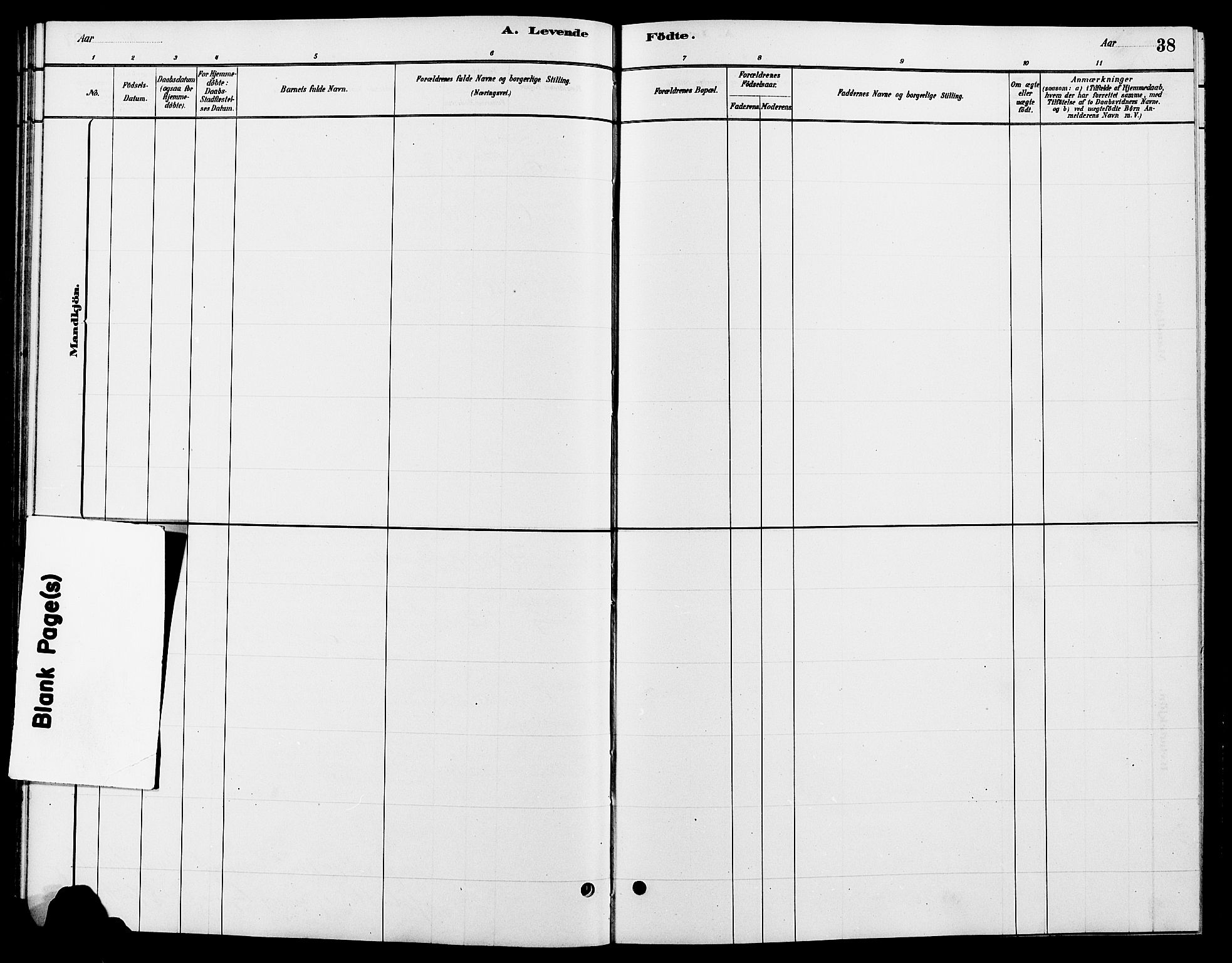 Tynset prestekontor, SAH/PREST-058/H/Ha/Hab/L0007: Klokkerbok nr. 7, 1880-1901, s. 38