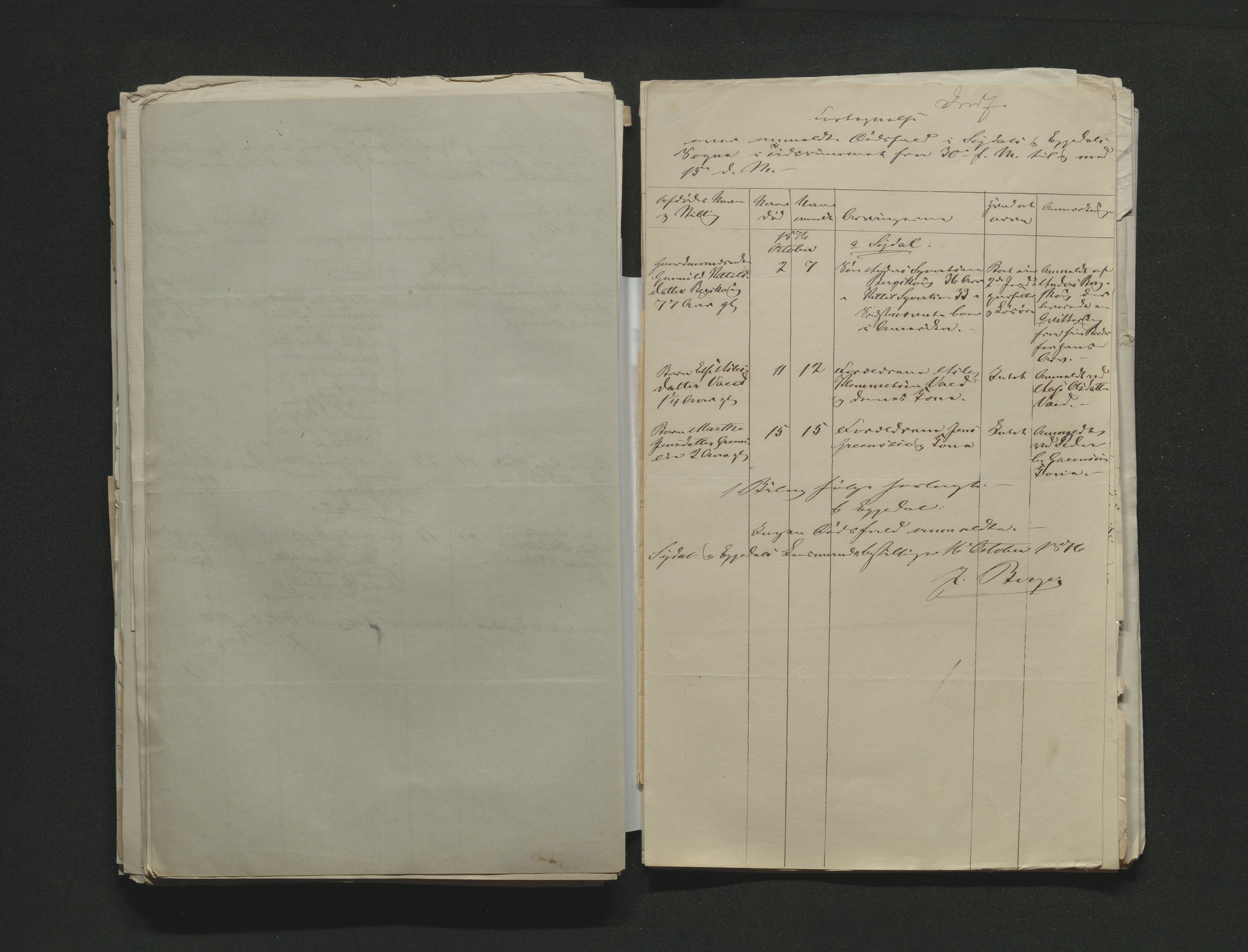 Eiker, Modum og Sigdal sorenskriveri, AV/SAKO-A-123/H/Ha/Hab/L0014: Dødsfallsmeldinger, 1874-1877, s. 496