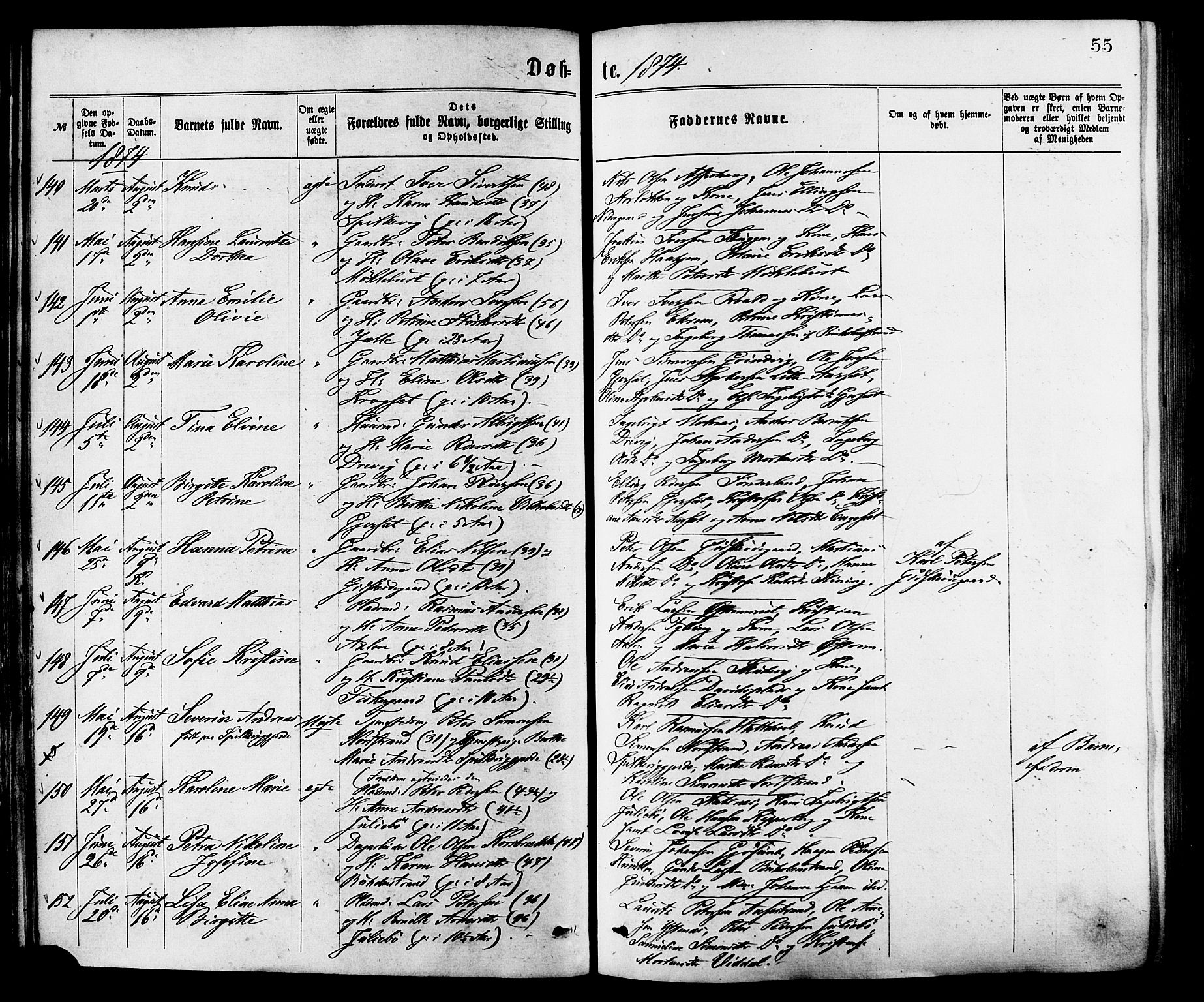 Ministerialprotokoller, klokkerbøker og fødselsregistre - Møre og Romsdal, AV/SAT-A-1454/528/L0400: Ministerialbok nr. 528A11, 1871-1879, s. 55