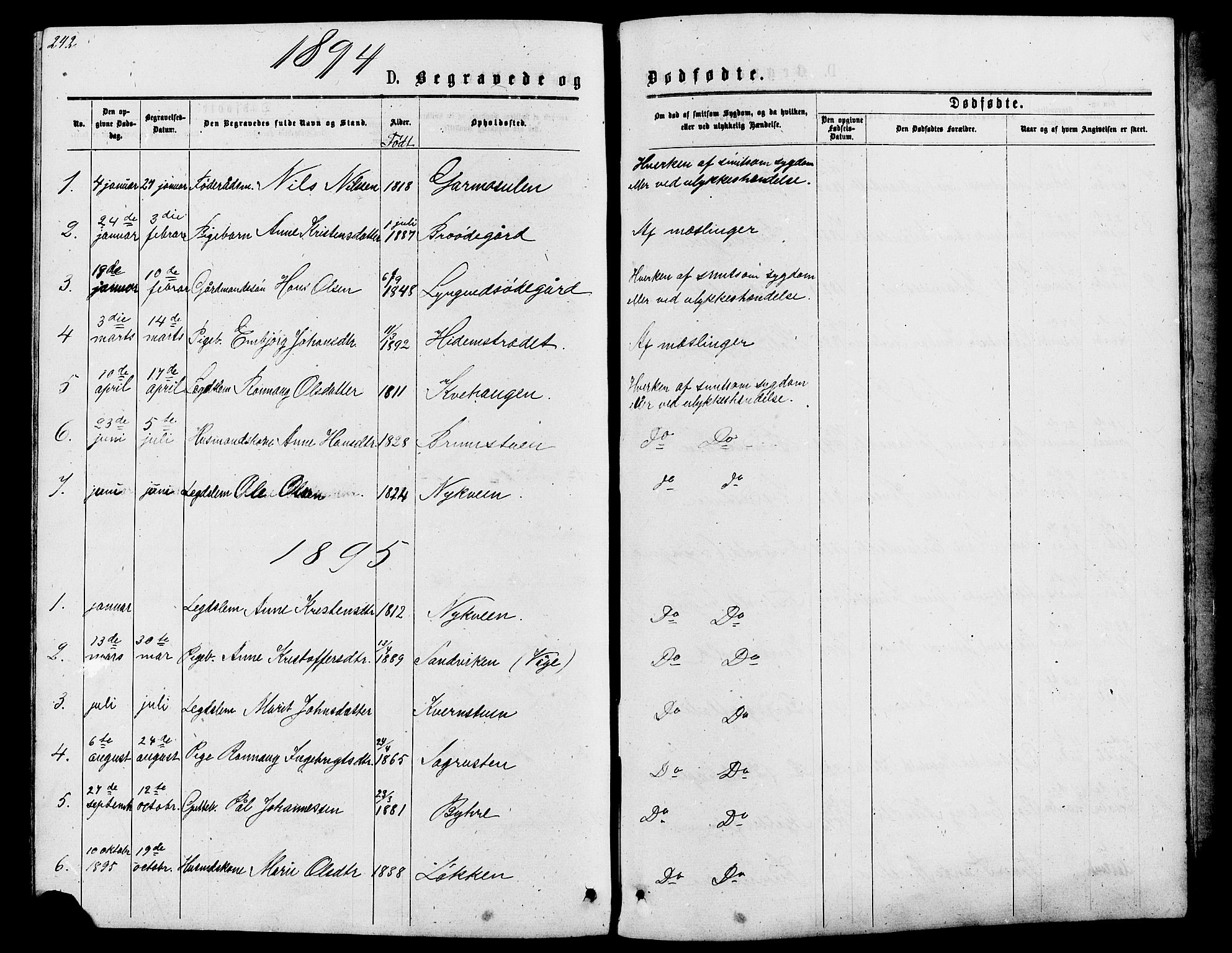 Lom prestekontor, AV/SAH-PREST-070/L/L0005: Klokkerbok nr. 5, 1876-1901, s. 242-243