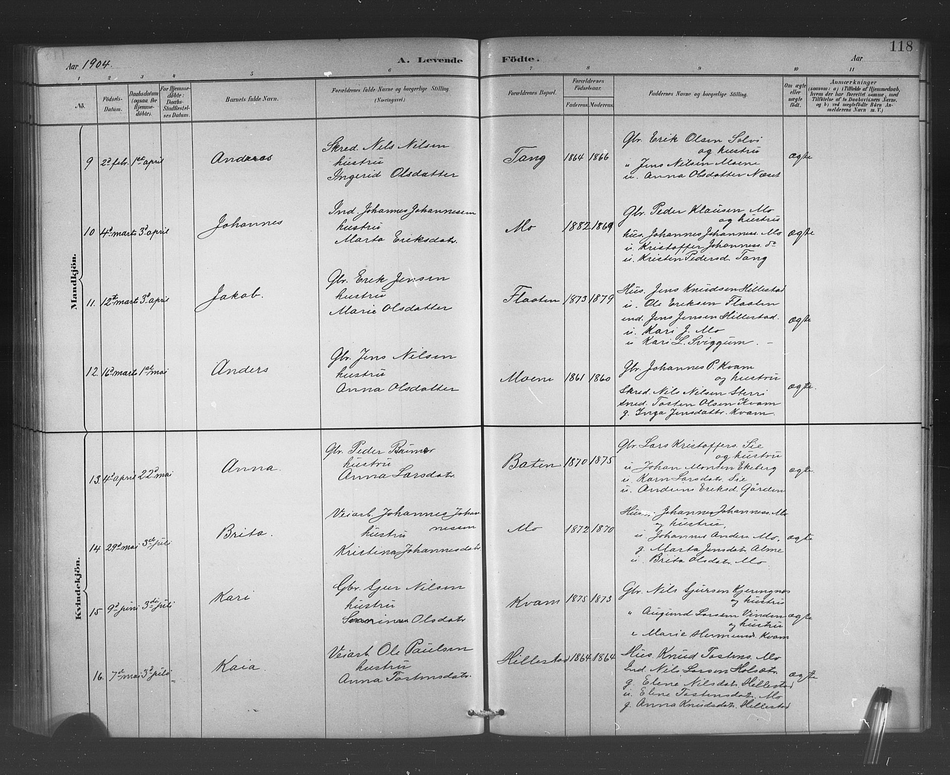 Hafslo sokneprestembete, AV/SAB-A-80301/H/Hab/Habb/L0001: Klokkerbok nr. B 1, 1882-1908, s. 118