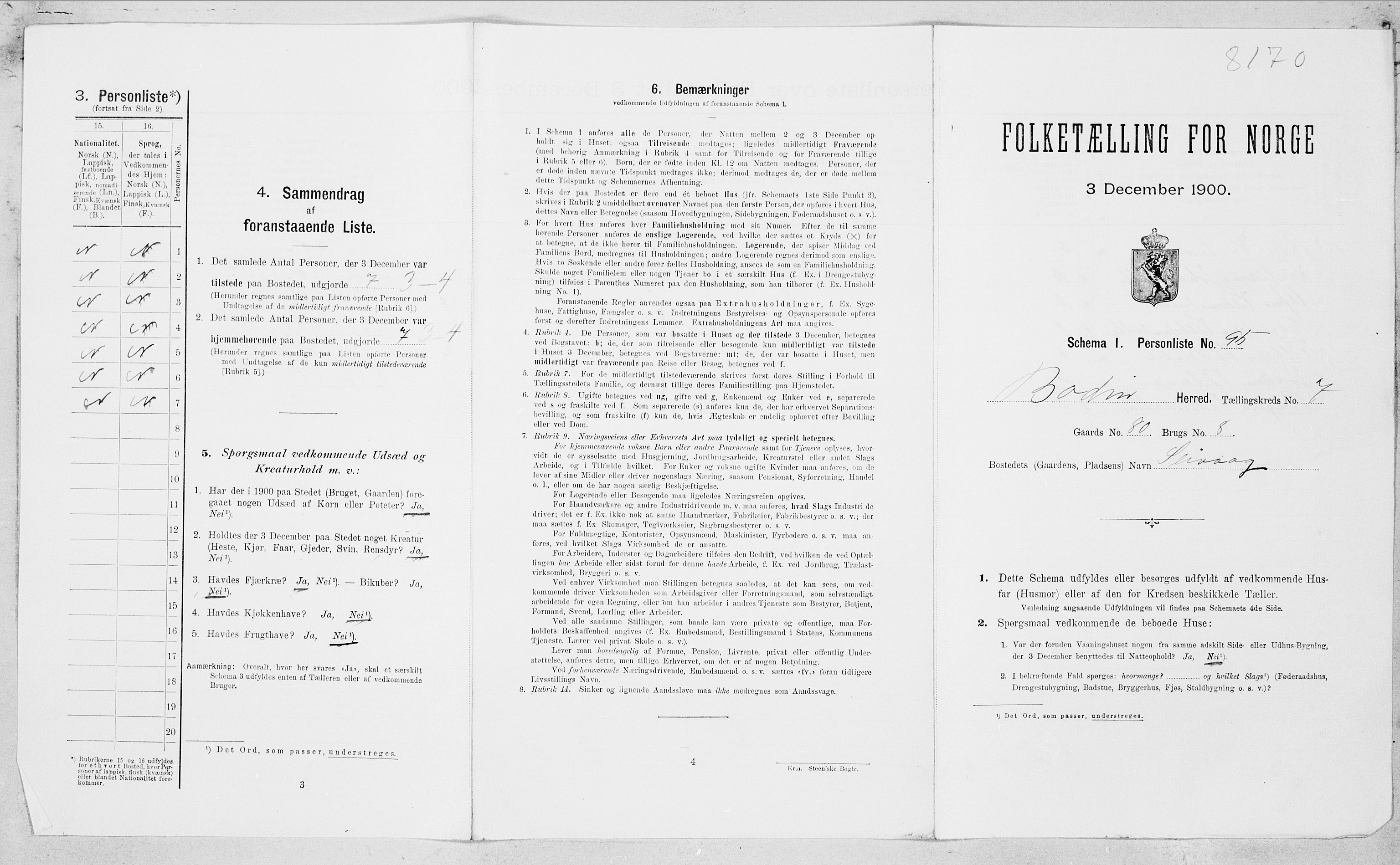 SAT, Folketelling 1900 for 1843 Bodin herred, 1900, s. 1204