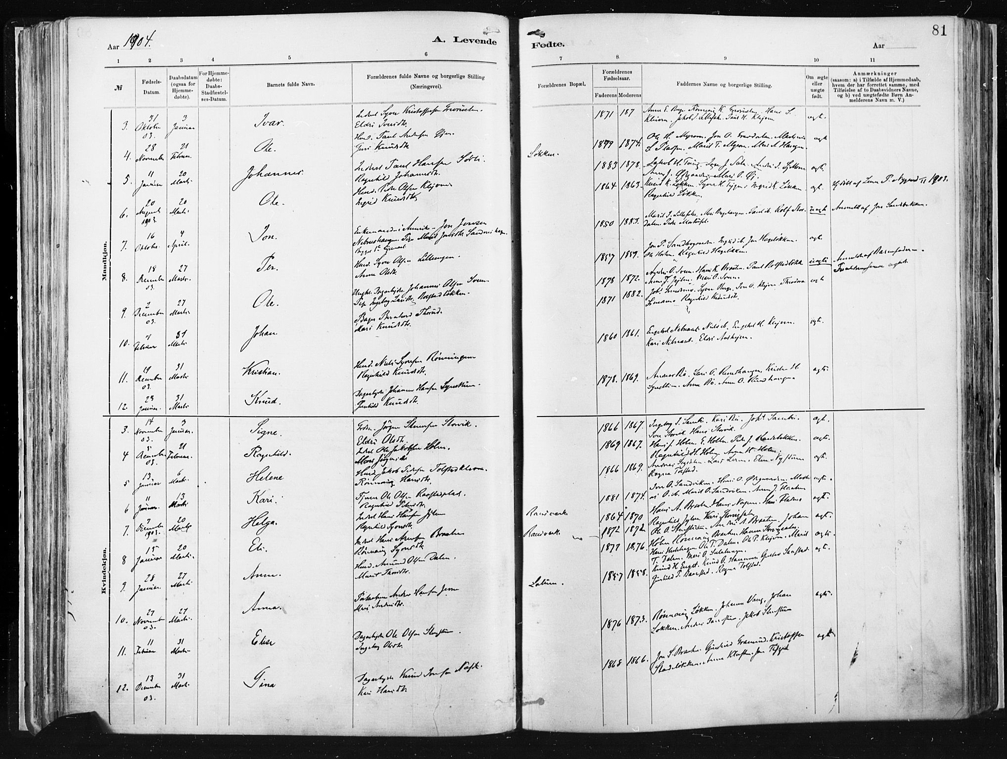 Vågå prestekontor, AV/SAH-PREST-076/H/Ha/Haa/L0009: Ministerialbok nr. 9, 1886-1904, s. 81
