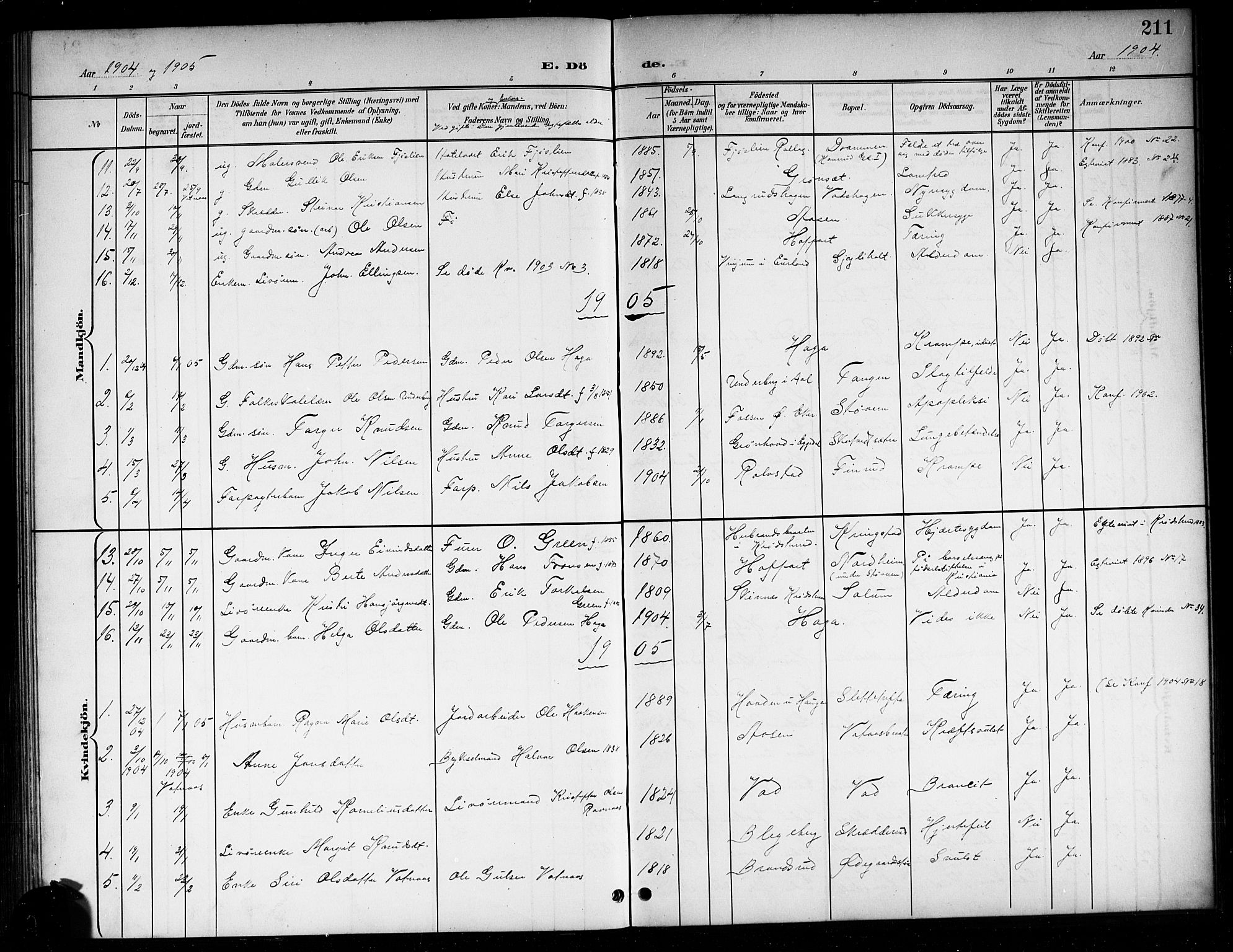 Sigdal kirkebøker, AV/SAKO-A-245/G/Ga/L0006: Klokkerbok nr. I 6, 1901-1916, s. 211