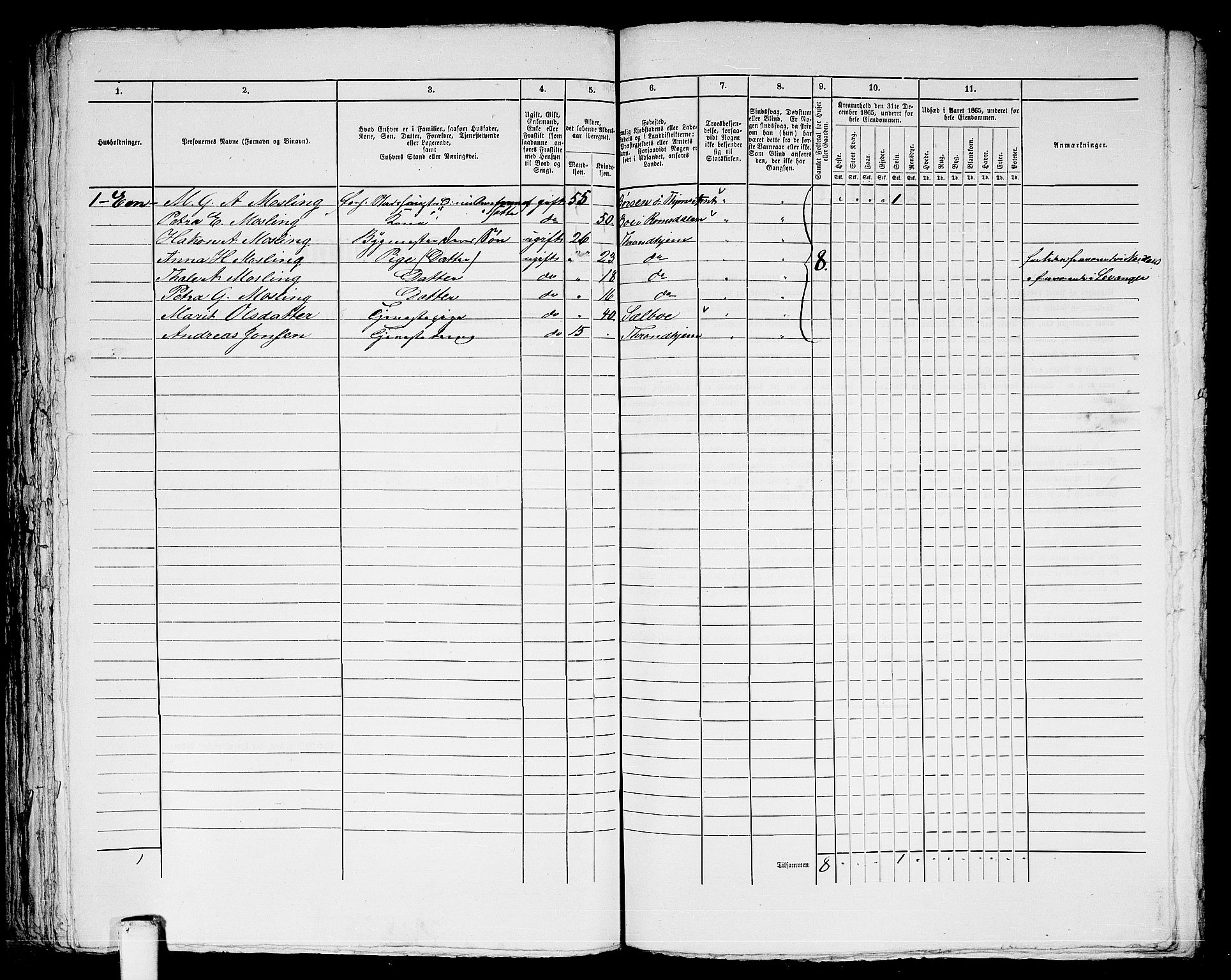 RA, Folketelling 1865 for 1601 Trondheim kjøpstad, 1865, s. 876