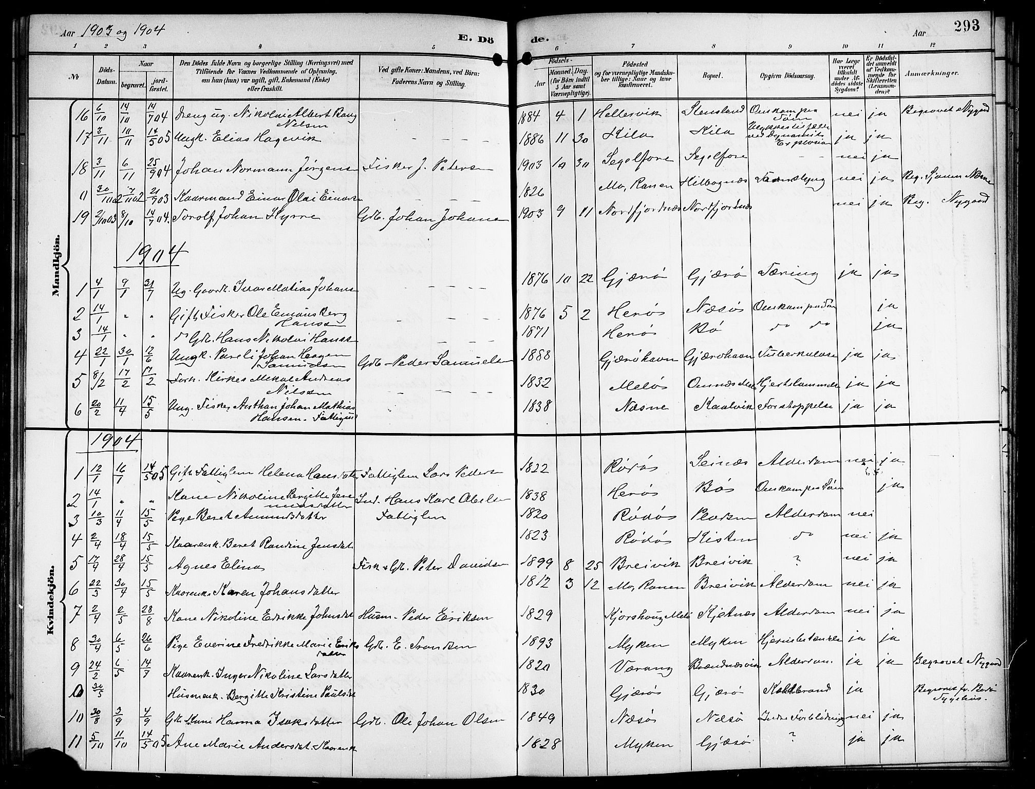 Ministerialprotokoller, klokkerbøker og fødselsregistre - Nordland, SAT/A-1459/841/L0621: Klokkerbok nr. 841C05, 1897-1923, s. 293