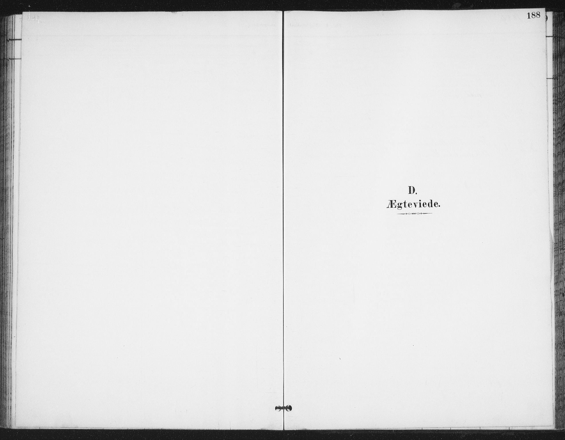 Ministerialprotokoller, klokkerbøker og fødselsregistre - Nordland, AV/SAT-A-1459/847/L0682: Klokkerbok nr. 847C10, 1889-1907, s. 188