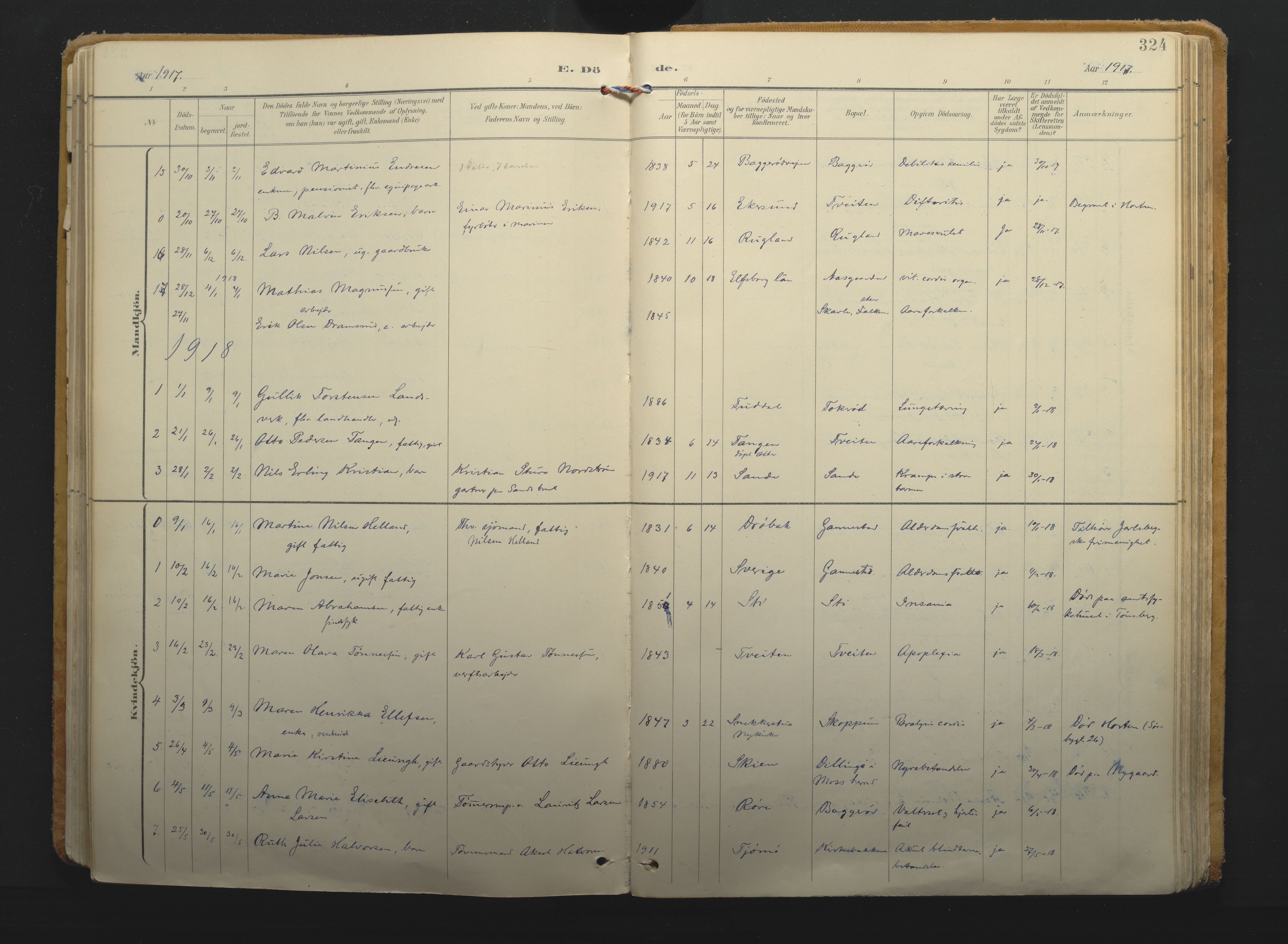 Borre kirkebøker, SAKO/A-338/F/Fa/L0011: Ministerialbok nr. I 11, 1897-1921, s. 324