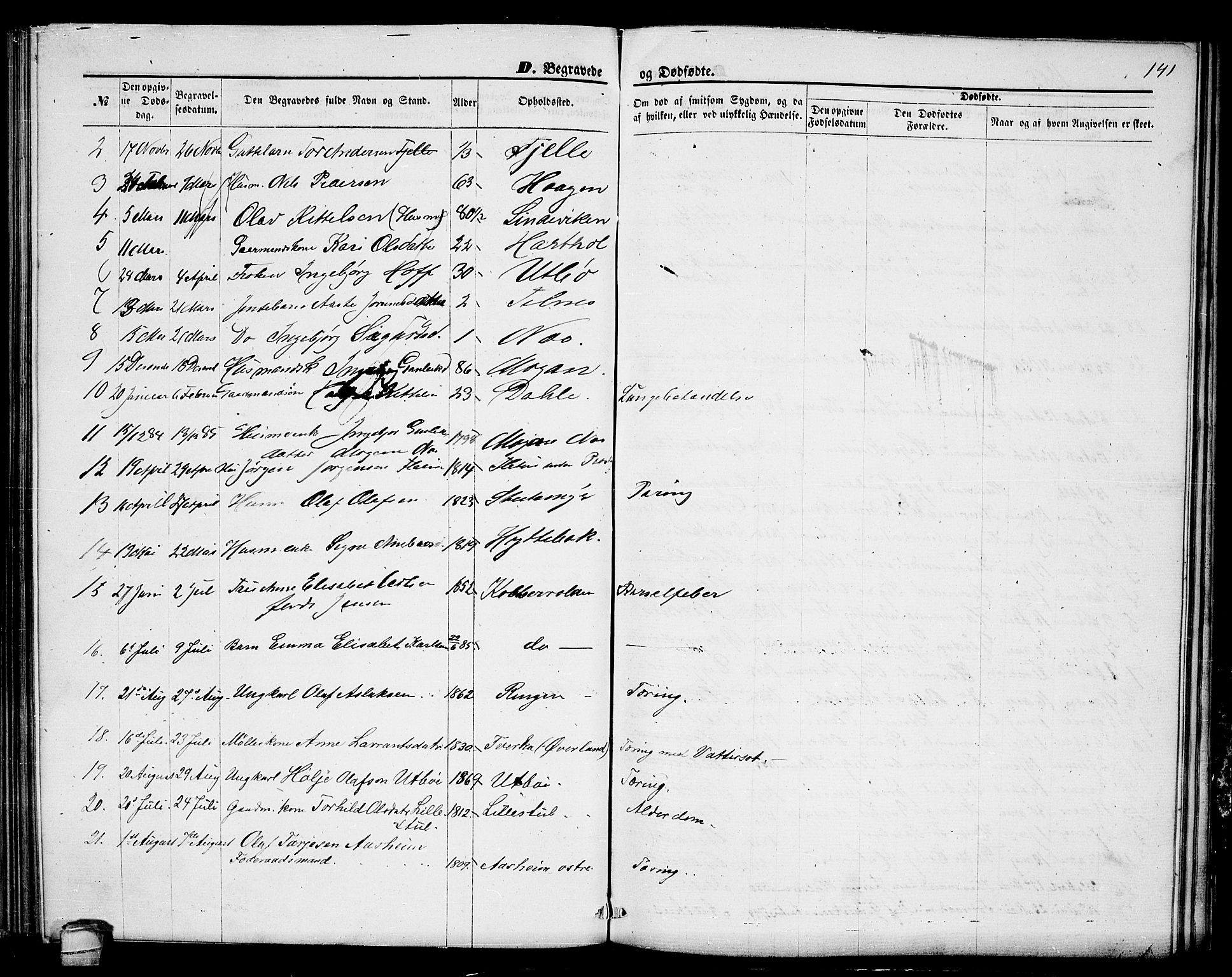 Seljord kirkebøker, AV/SAKO-A-20/G/Ga/L0004: Klokkerbok nr. I 4, 1873-1886, s. 141