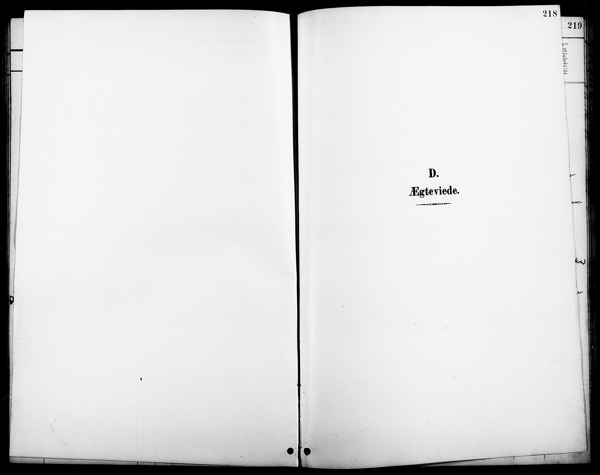 Åsnes prestekontor, SAH/PREST-042/H/Ha/Hab/L0005: Klokkerbok nr. 5, 1895-1920, s. 218