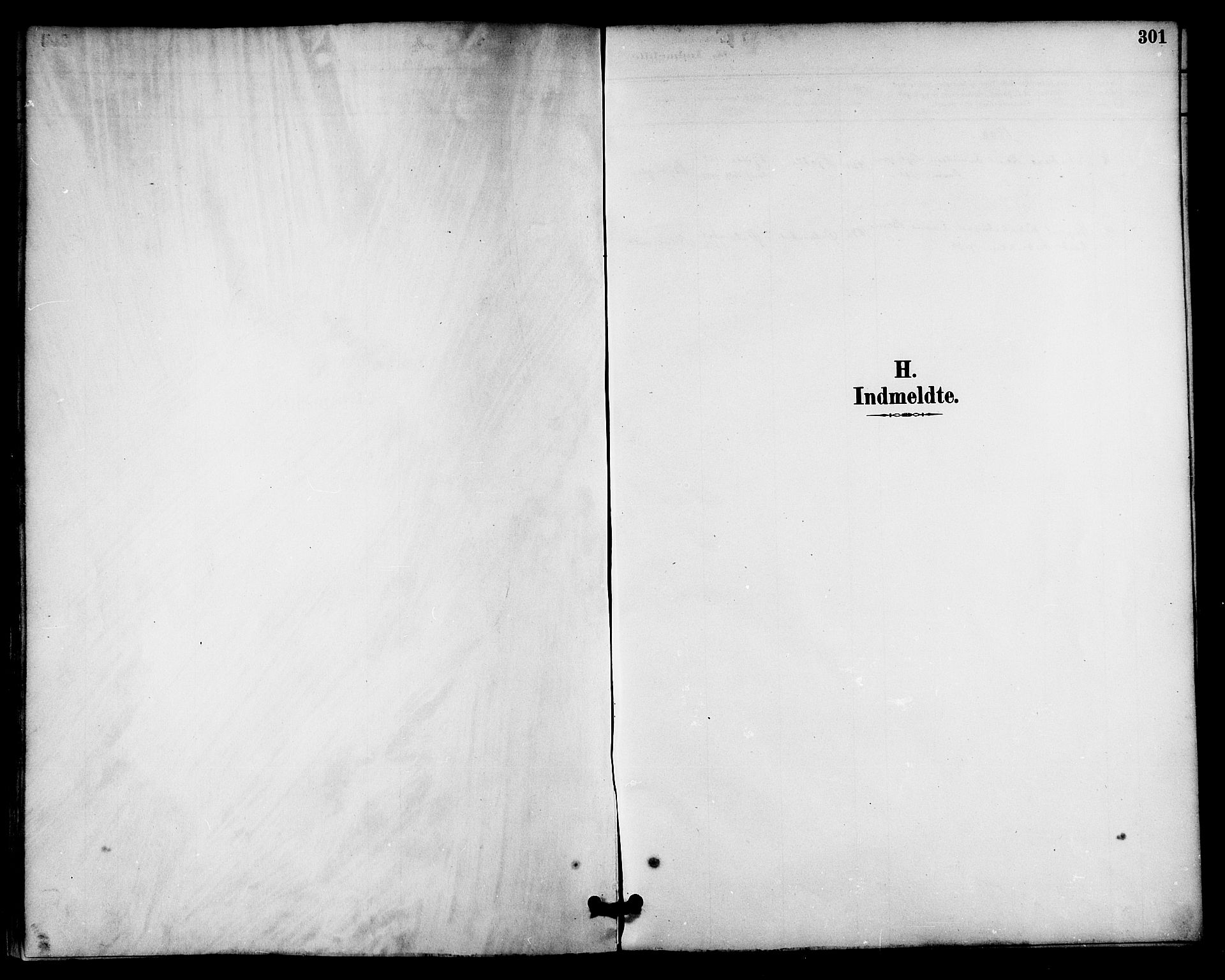 Ministerialprotokoller, klokkerbøker og fødselsregistre - Nordland, AV/SAT-A-1459/814/L0230: Klokkerbok nr. 814C03, 1884-1911, s. 301
