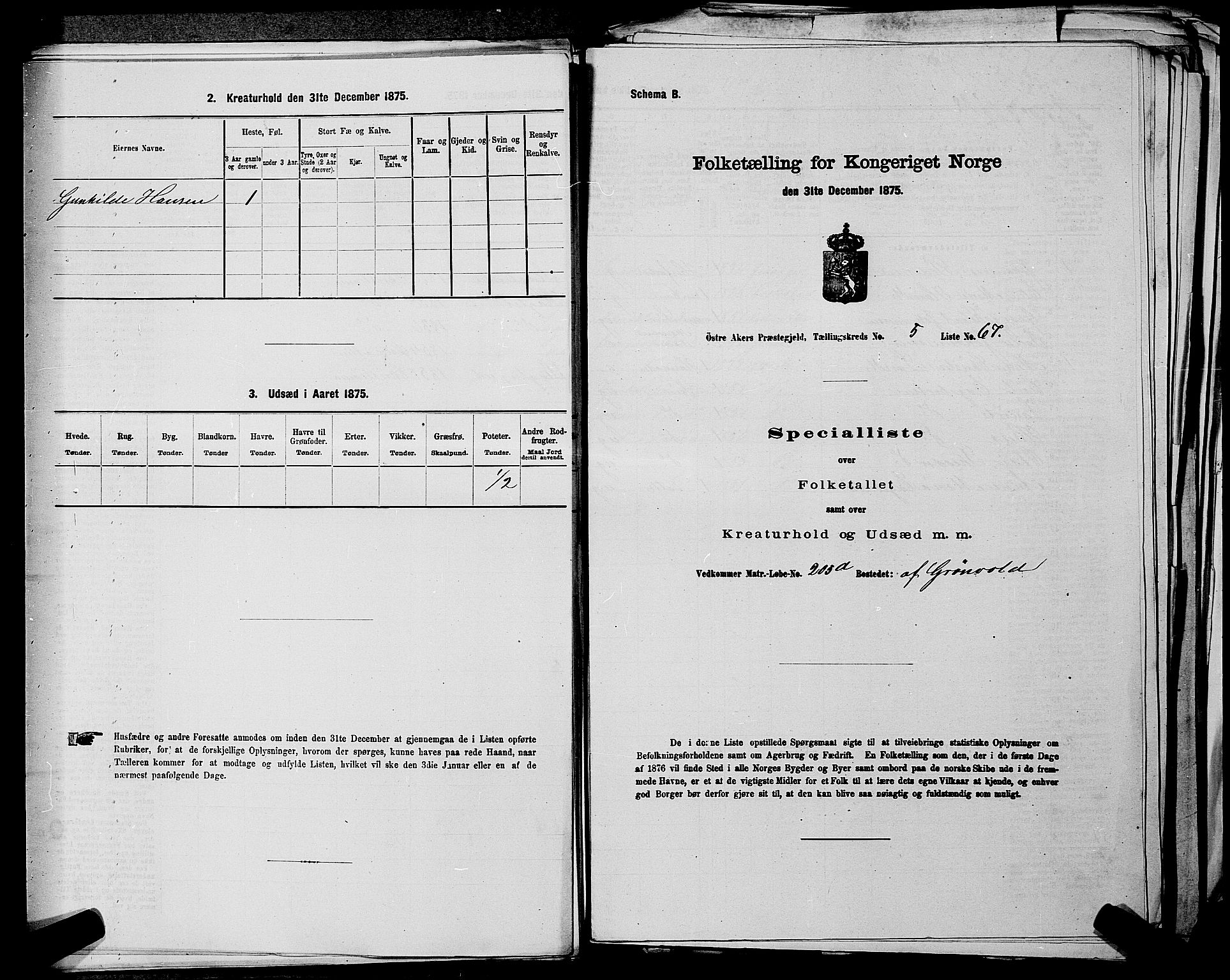 RA, Folketelling 1875 for 0218bP Østre Aker prestegjeld, 1875, s. 1502