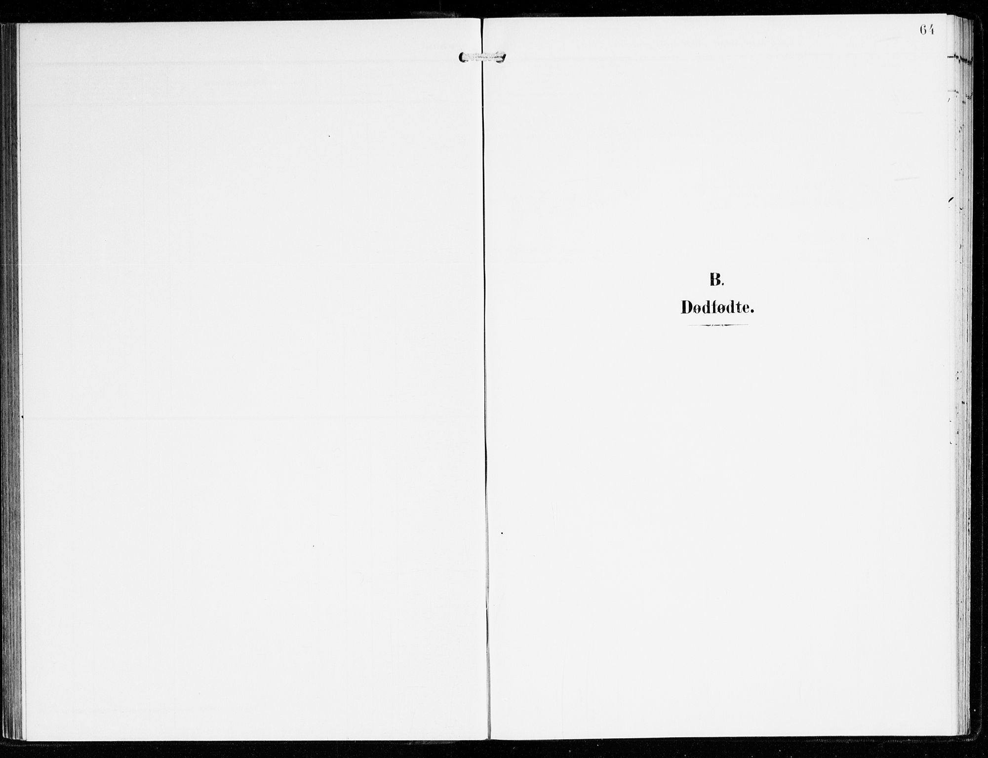 Hyllestad sokneprestembete, AV/SAB-A-80401: Ministerialbok nr. B 2, 1903-1917, s. 64