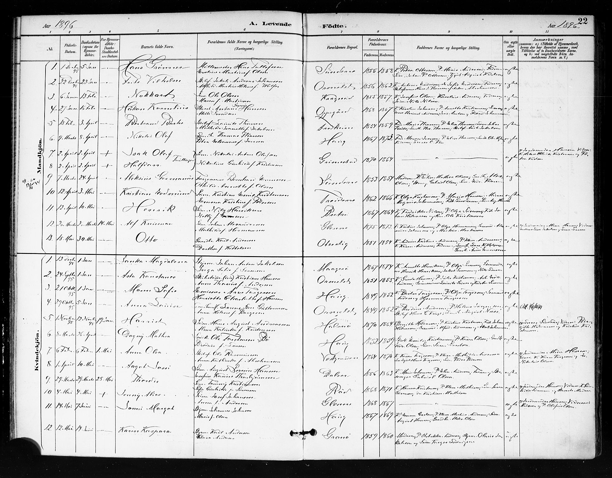 Tjøme kirkebøker, AV/SAKO-A-328/F/Fa/L0003: Ministerialbok nr. I 3, 1891-1900, s. 22