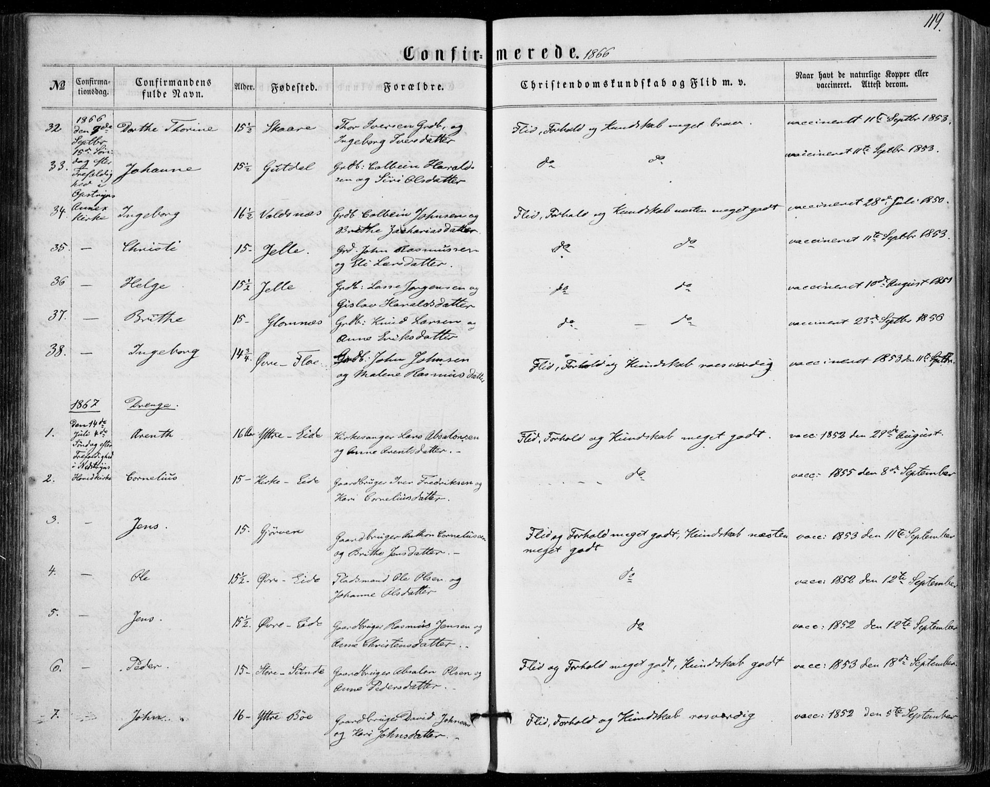 Stryn Sokneprestembete, AV/SAB-A-82501: Ministerialbok nr. A 3, 1862-1877, s. 119