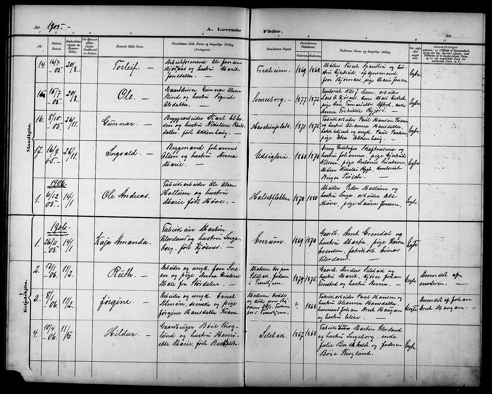 Ministerialprotokoller, klokkerbøker og fødselsregistre - Sør-Trøndelag, AV/SAT-A-1456/611/L0355: Klokkerbok nr. 611C03, 1897-1914