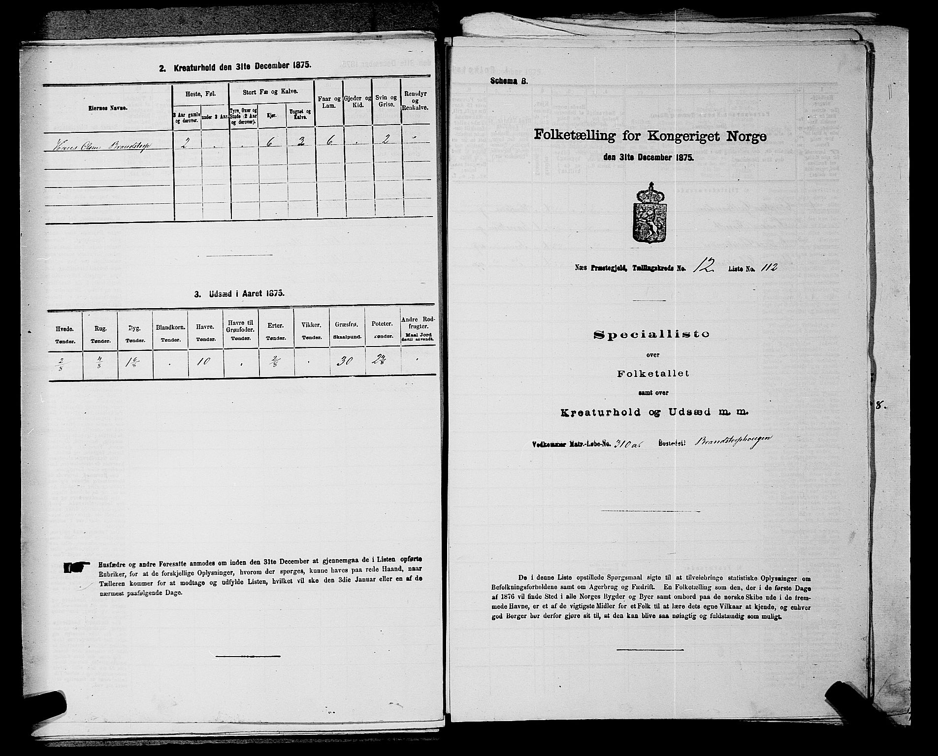 RA, Folketelling 1875 for 0236P Nes prestegjeld, 1875, s. 2265
