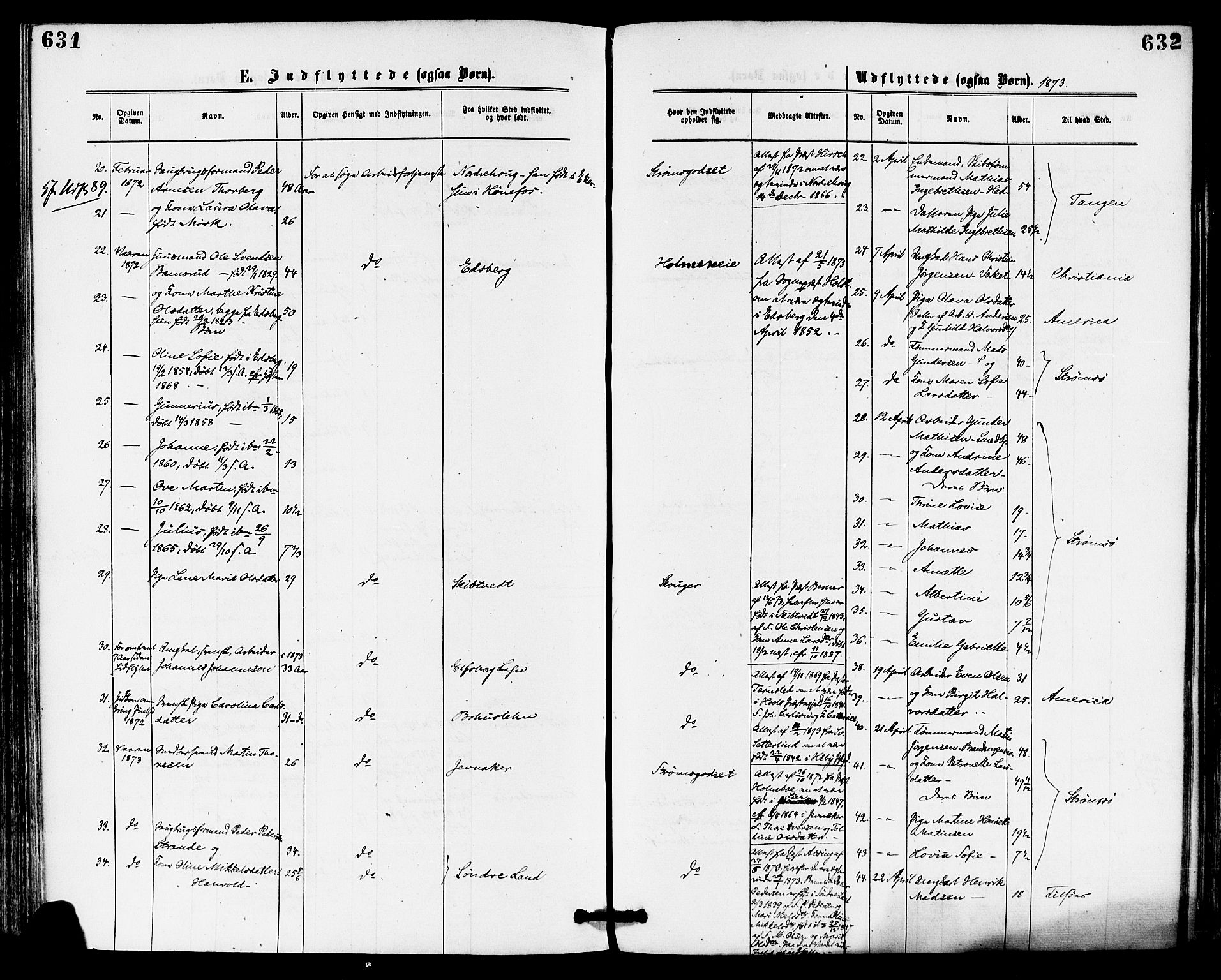 Skoger kirkebøker, AV/SAKO-A-59/F/Fa/L0005: Ministerialbok nr. I 5, 1873-1884, s. 631-632