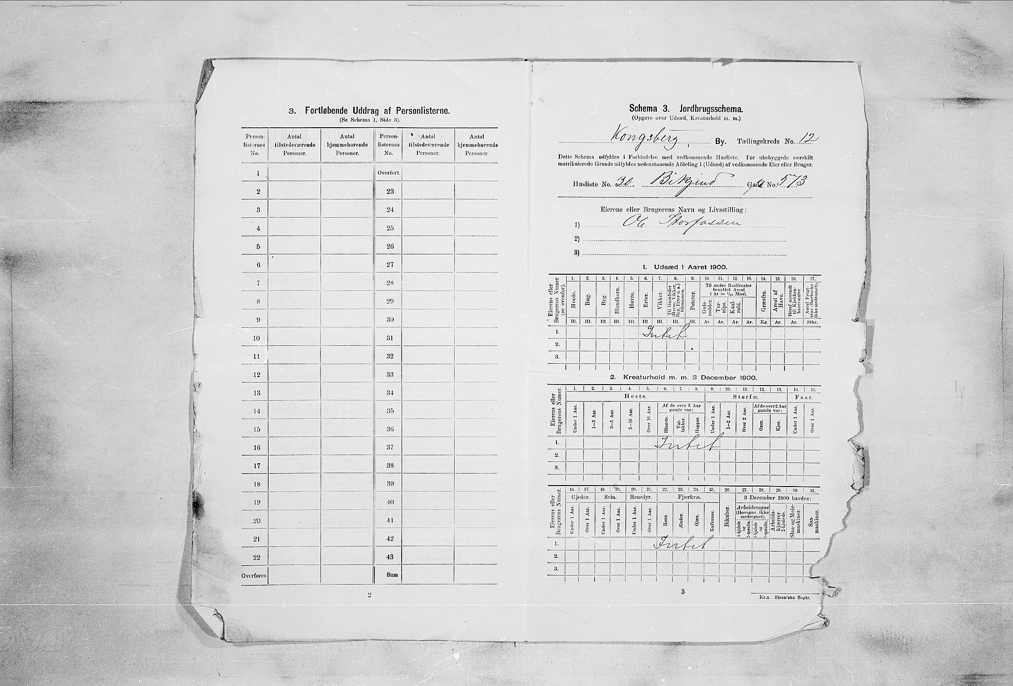 RA, Folketelling 1900 for 0604 Kongsberg kjøpstad, 1900, s. 2234