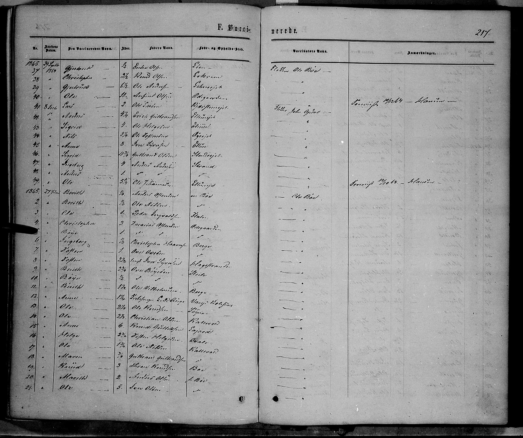 Vang prestekontor, Valdres, SAH/PREST-140/H/Ha/L0007: Ministerialbok nr. 7, 1865-1881, s. 217