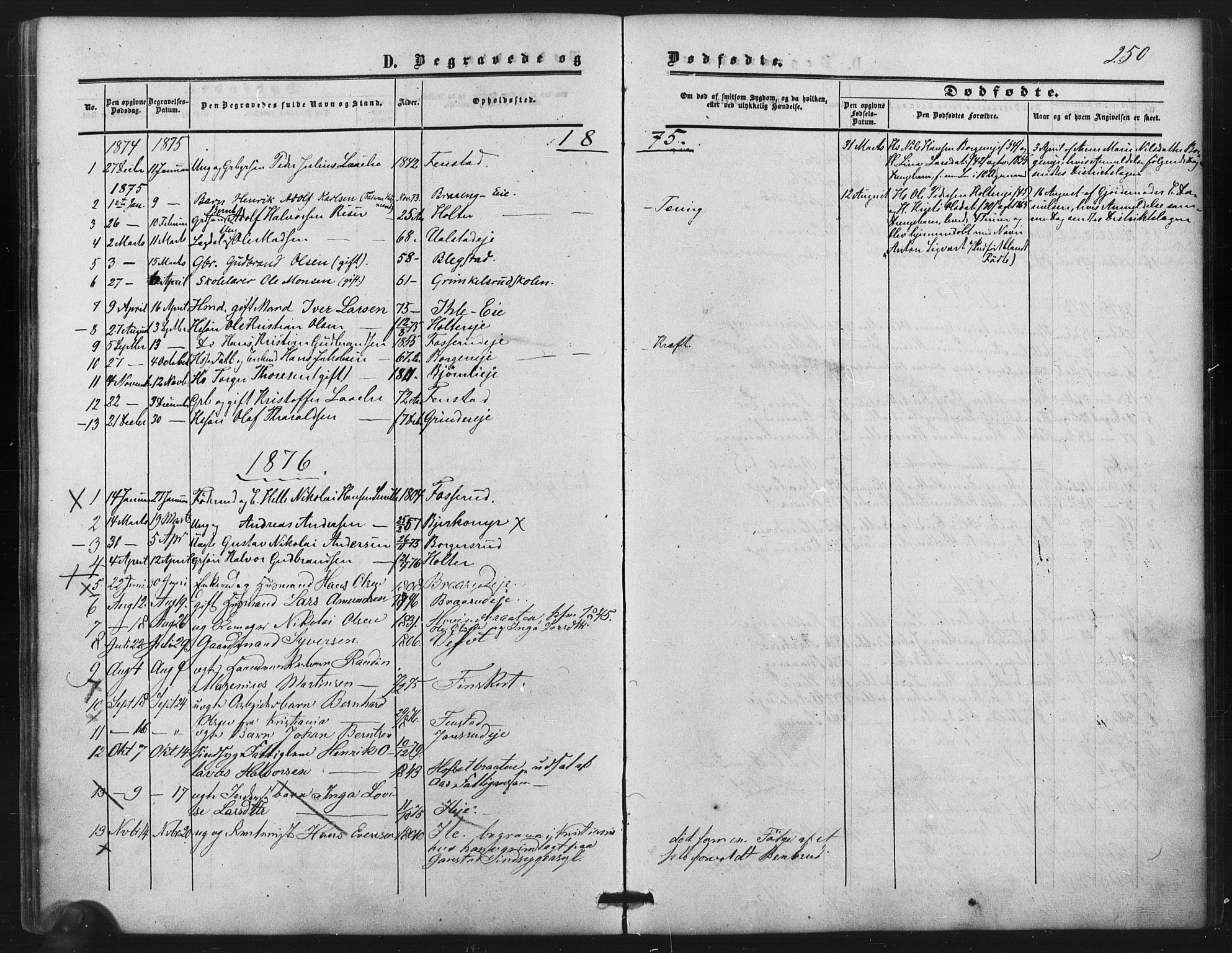 Nes prestekontor Kirkebøker, AV/SAO-A-10410/F/Fb/L0001: Ministerialbok nr. II 1, 1859-1882, s. 250