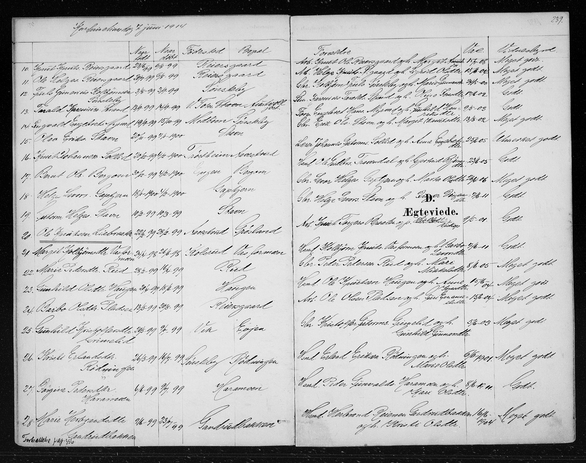 Nes kirkebøker, AV/SAKO-A-236/F/Fa/L0012: Ministerialbok nr. 12, 1881-1917, s. 239