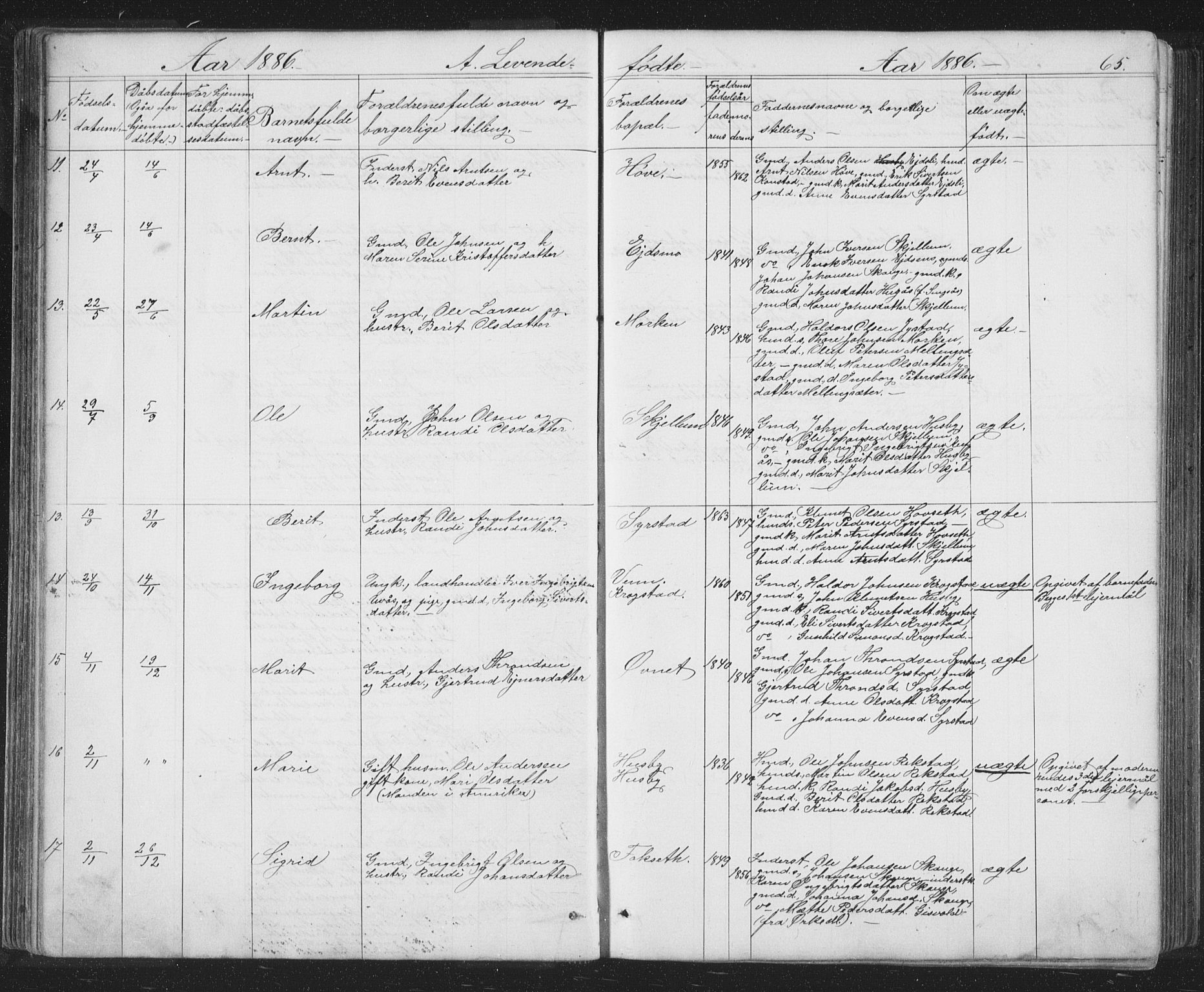 Ministerialprotokoller, klokkerbøker og fødselsregistre - Sør-Trøndelag, SAT/A-1456/667/L0798: Klokkerbok nr. 667C03, 1867-1929, s. 65