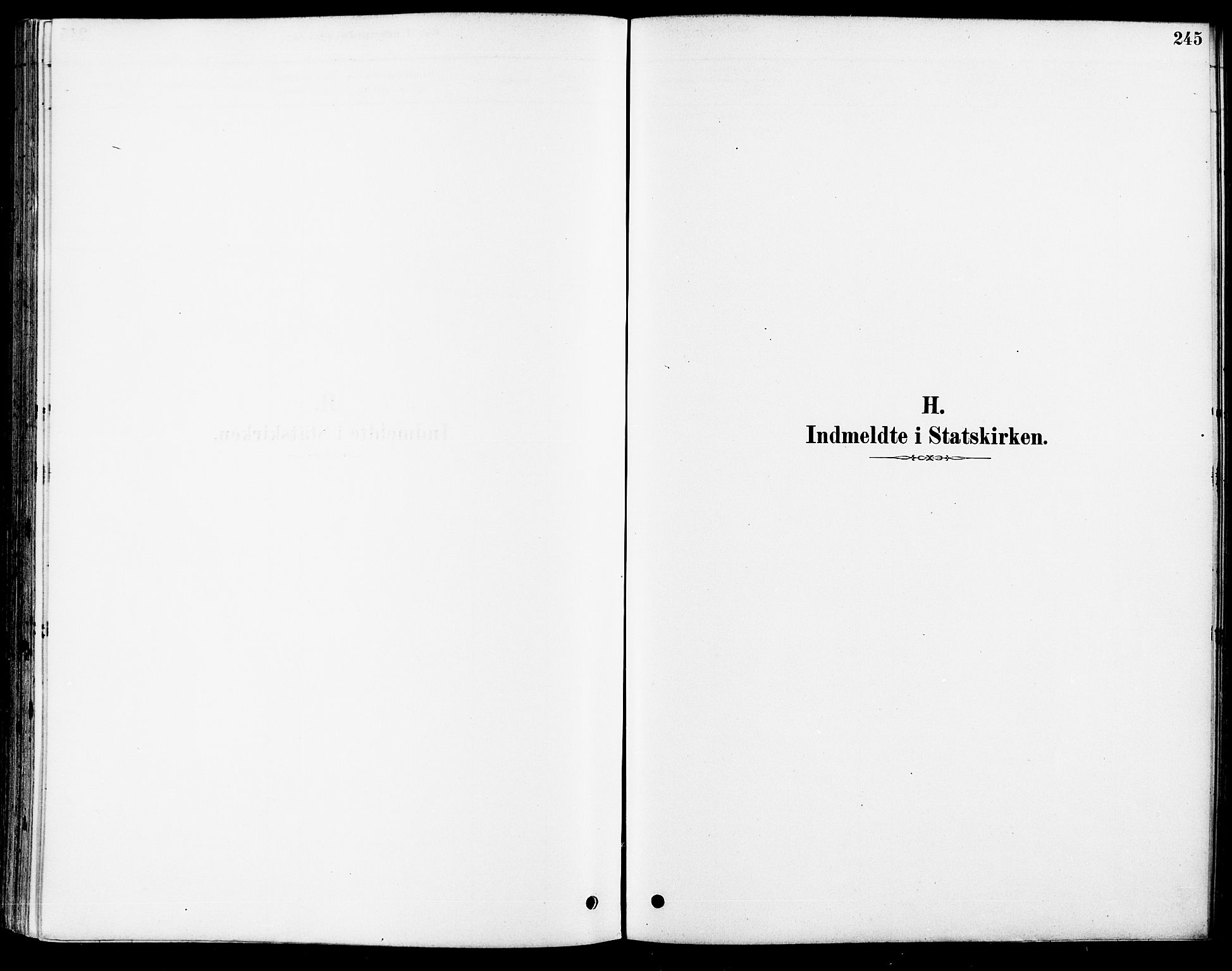 Fet prestekontor Kirkebøker, SAO/A-10370a/F/Fa/L0014: Ministerialbok nr. I 14, 1878-1891, s. 245