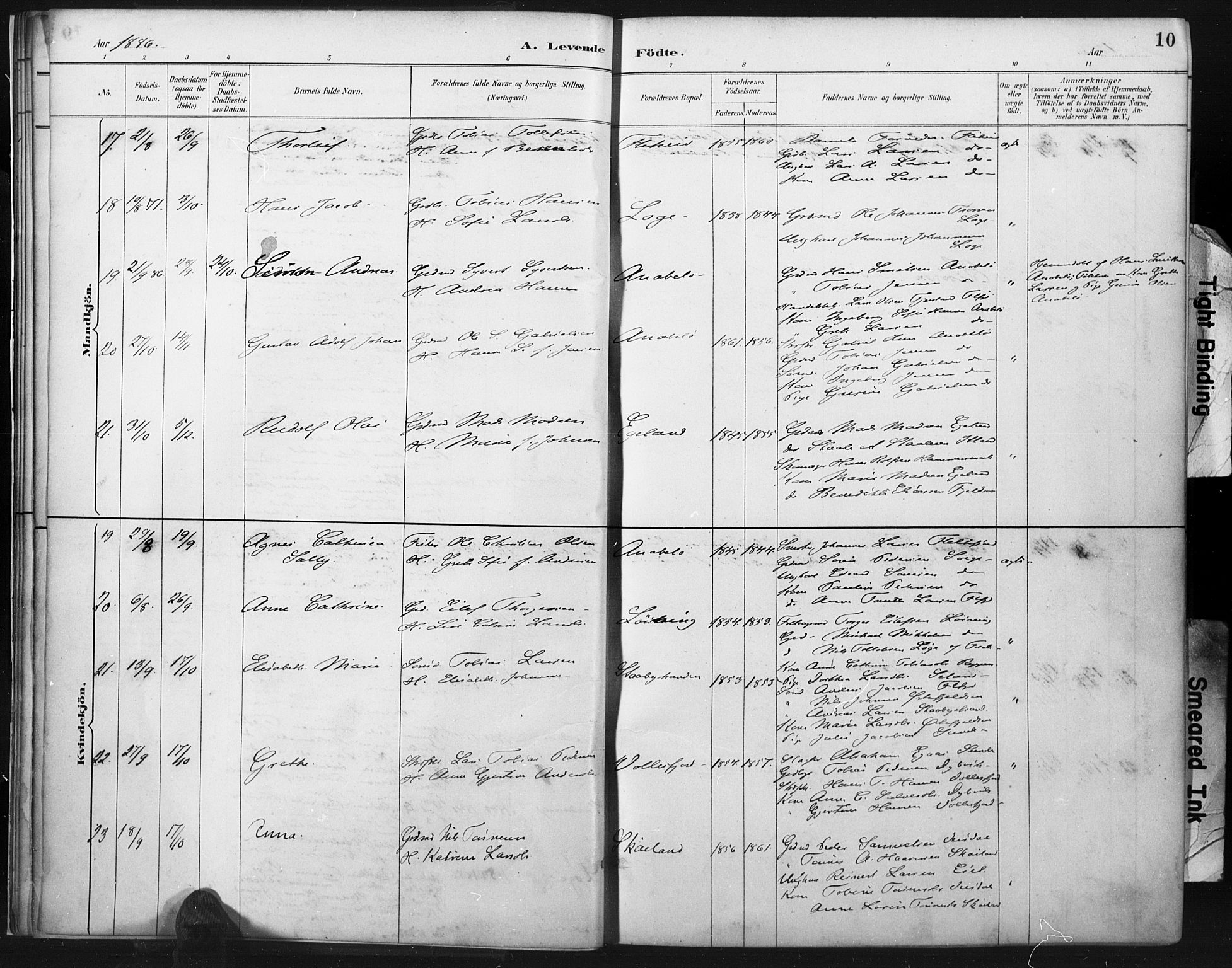 Flekkefjord sokneprestkontor, AV/SAK-1111-0012/F/Fa/Fac/L0008: Ministerialbok nr. A 8, 1885-1898, s. 10