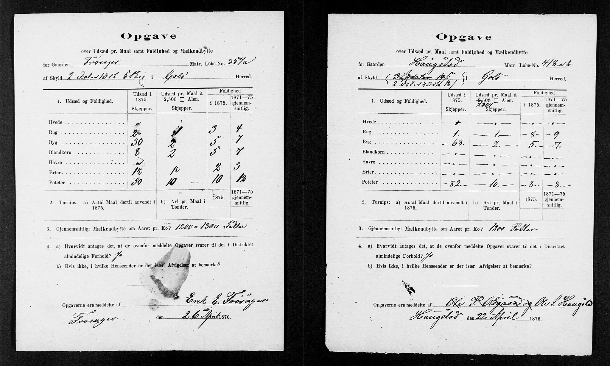 Statistisk sentralbyrå, Næringsøkonomiske emner, Generelt - Amtmennenes femårsberetninger, AV/RA-S-2233/F/Fa/L0036: --, 1875, s. 12