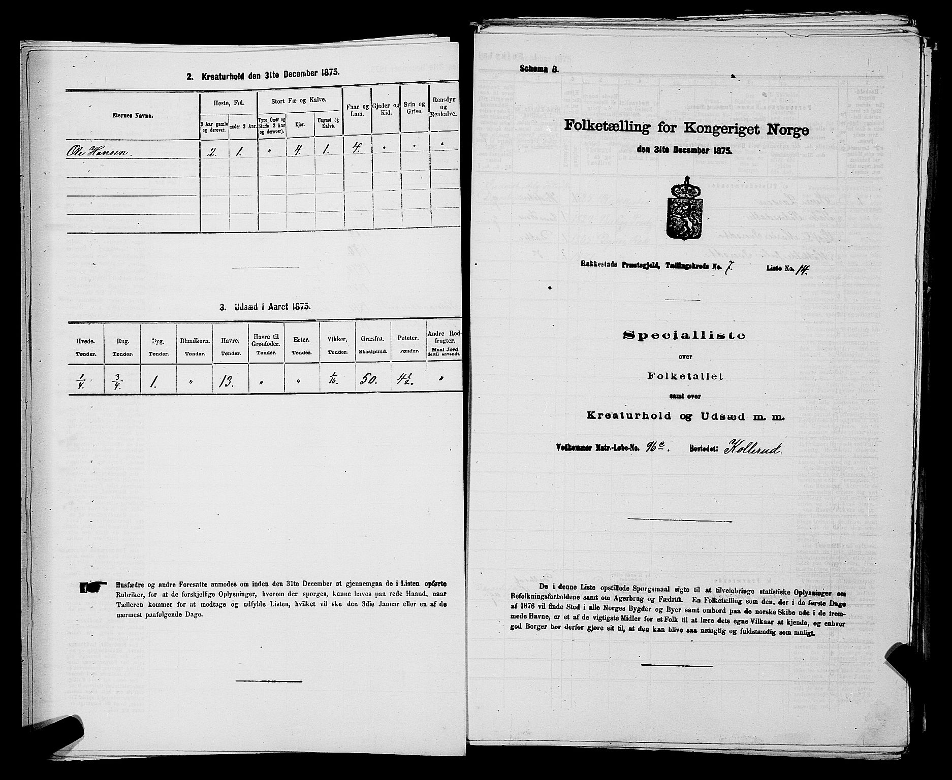 RA, Folketelling 1875 for 0128P Rakkestad prestegjeld, 1875, s. 750