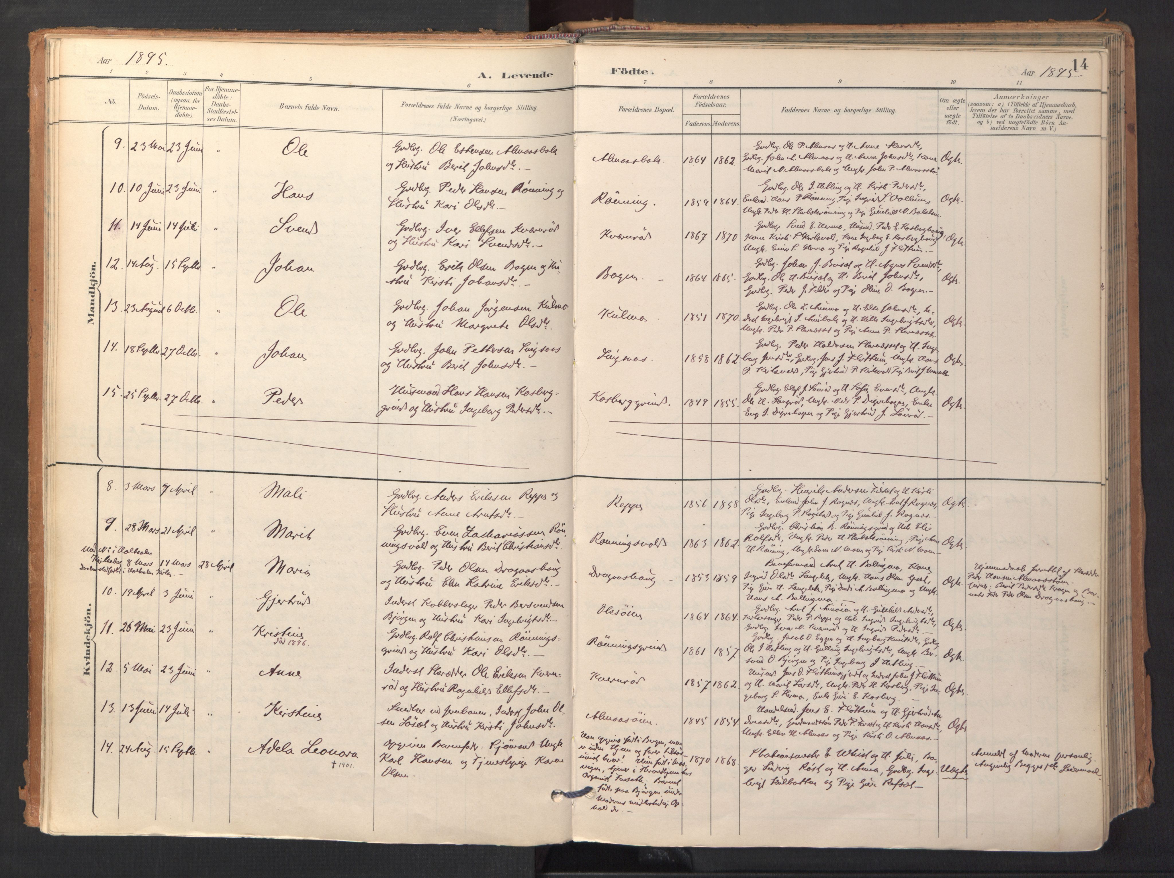 Ministerialprotokoller, klokkerbøker og fødselsregistre - Sør-Trøndelag, SAT/A-1456/688/L1025: Ministerialbok nr. 688A02, 1891-1909, s. 14