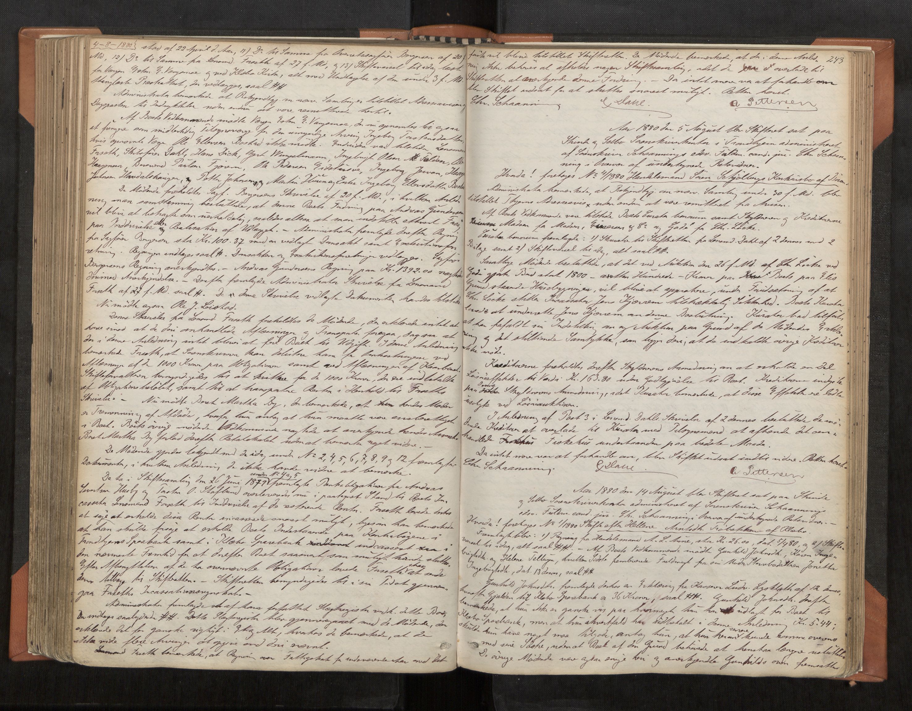 Strinda og Selbu sorenskriveri, AV/SAT-A-0015/3/3B/L0004: Skifteforhandlingsprot. 4 4, 1866-1883, s. 243