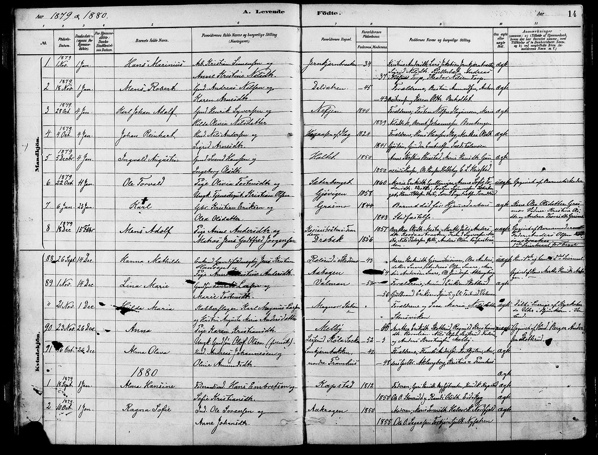 Eidskog prestekontor, AV/SAH-PREST-026/H/Ha/Haa/L0003: Ministerialbok nr. 3, 1879-1892, s. 14