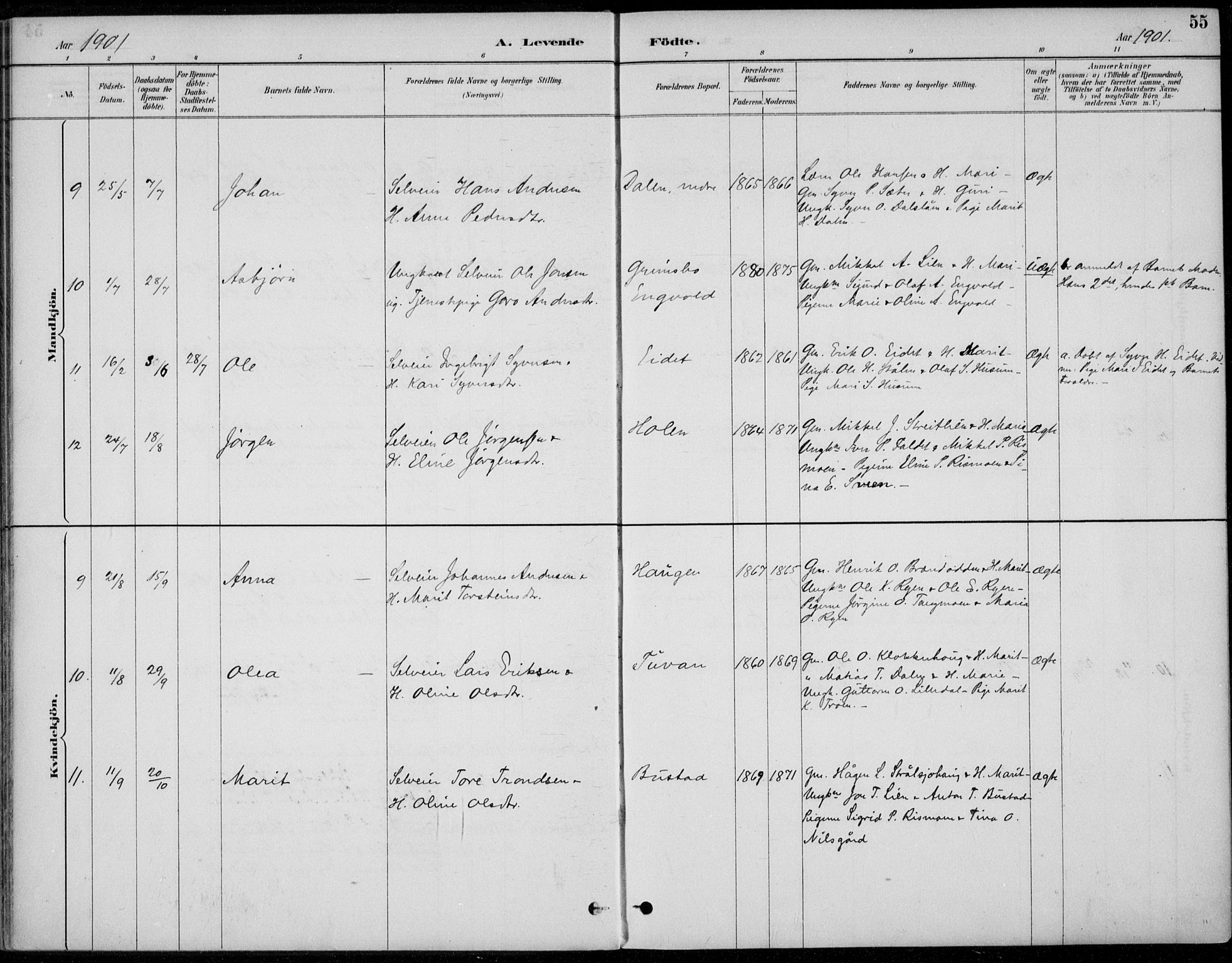 Alvdal prestekontor, AV/SAH-PREST-060/H/Ha/Haa/L0003: Ministerialbok nr. 3, 1886-1912, s. 55