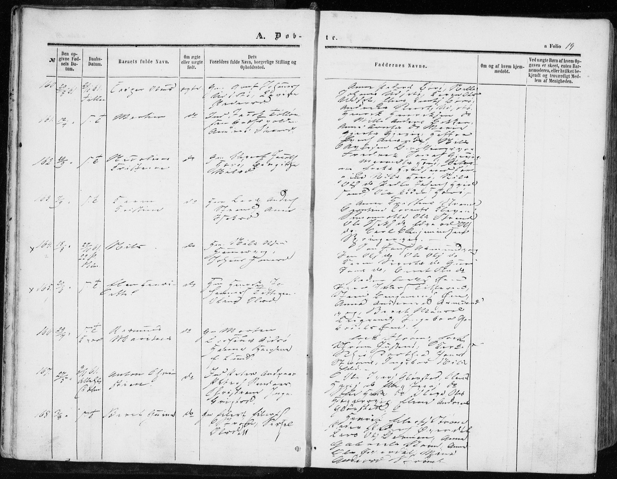 Ministerialprotokoller, klokkerbøker og fødselsregistre - Sør-Trøndelag, SAT/A-1456/634/L0531: Ministerialbok nr. 634A07, 1861-1870, s. 19