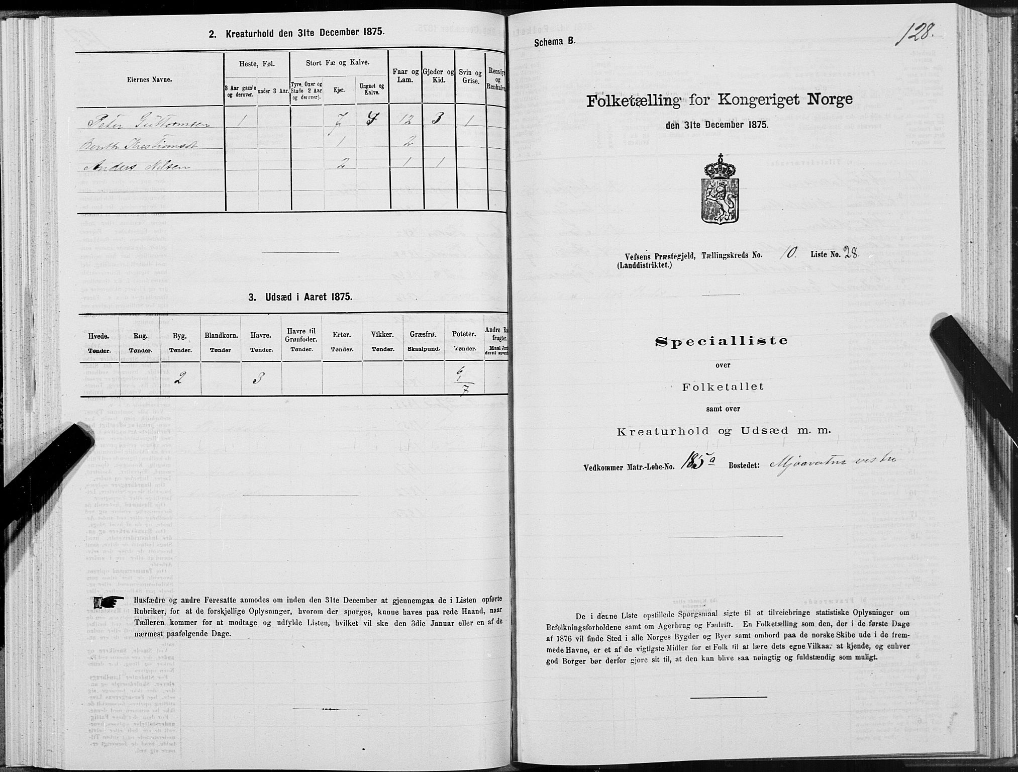 SAT, Folketelling 1875 for 1824L Vefsn prestegjeld, Vefsn sokn, 1875, s. 3128