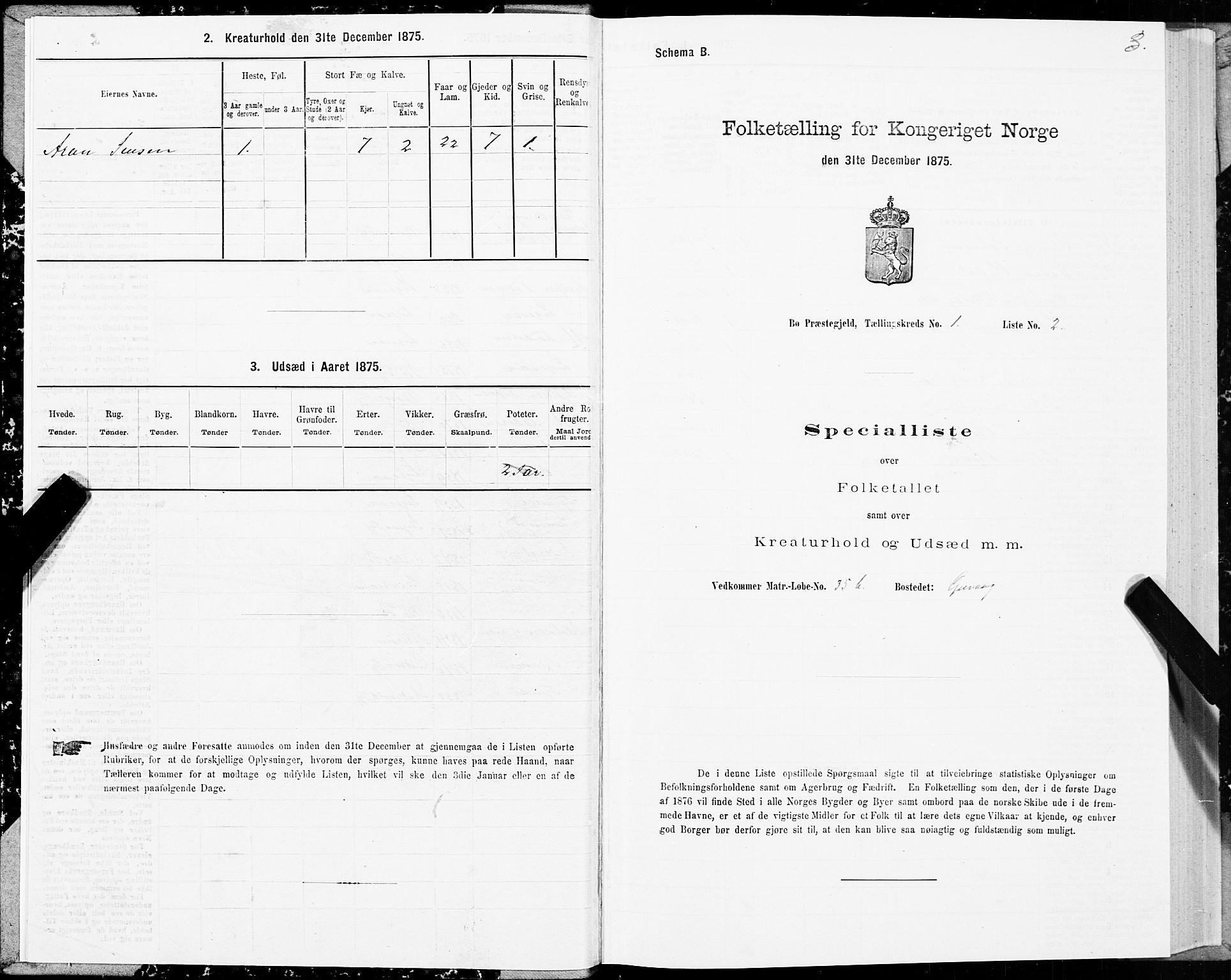 SAT, Folketelling 1875 for 1867P Bø prestegjeld, 1875, s. 1003