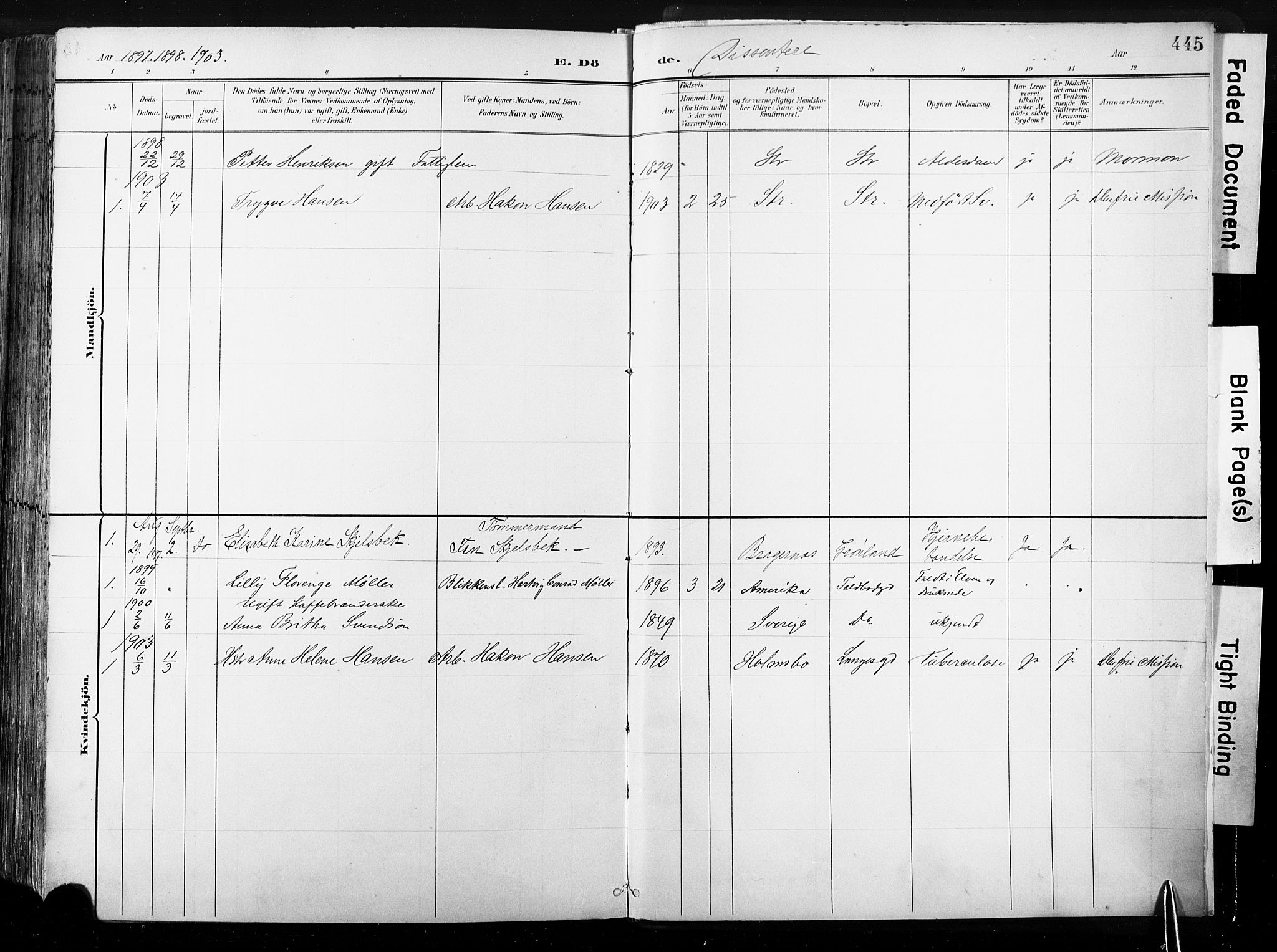 Strømsø kirkebøker, AV/SAKO-A-246/G/Ga/L0003: Klokkerbok nr. 3, 1894-1904, s. 445