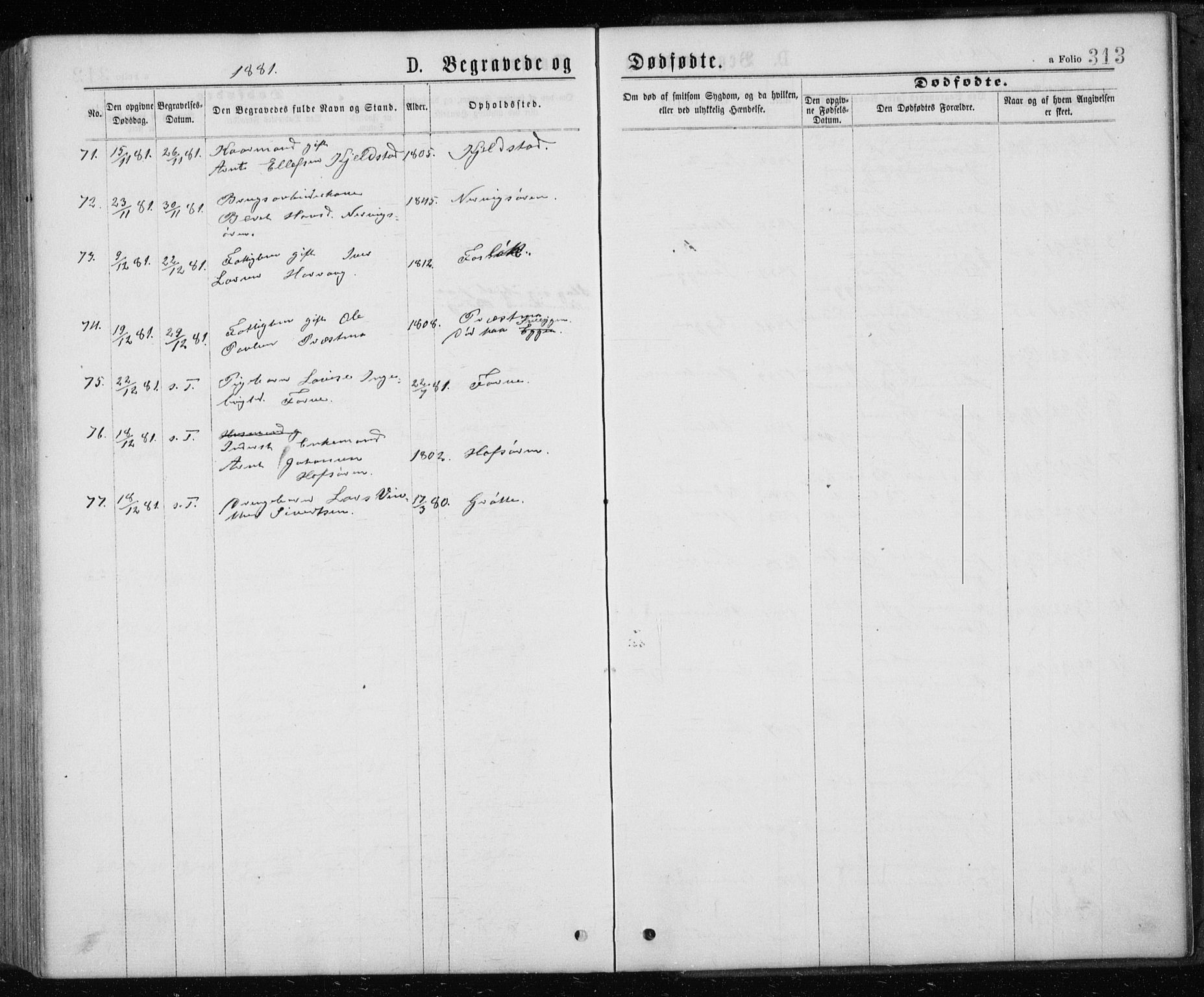 Ministerialprotokoller, klokkerbøker og fødselsregistre - Sør-Trøndelag, AV/SAT-A-1456/668/L0817: Klokkerbok nr. 668C06, 1873-1884, s. 313