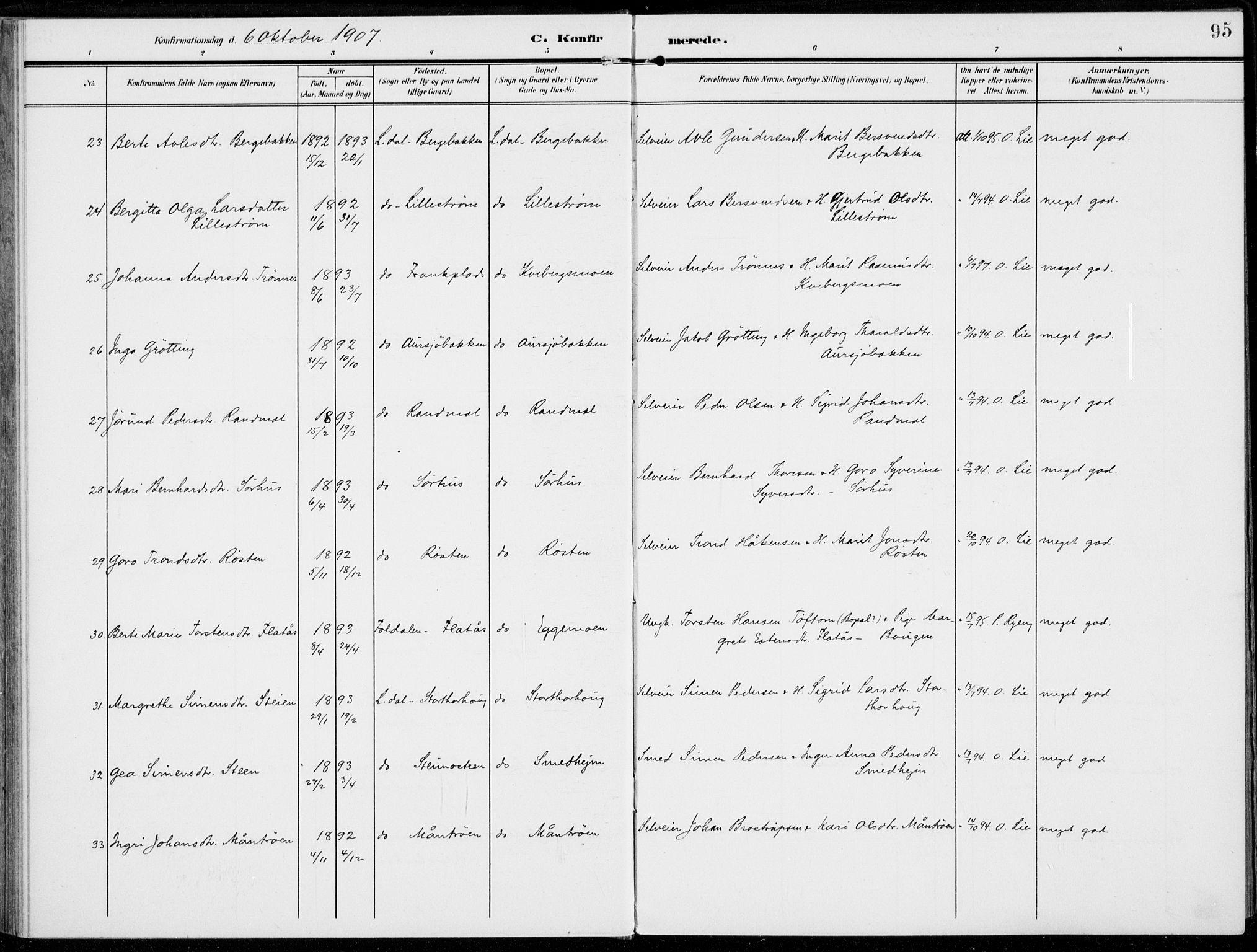 Alvdal prestekontor, SAH/PREST-060/H/Ha/Haa/L0004: Ministerialbok nr. 4, 1907-1919, s. 95