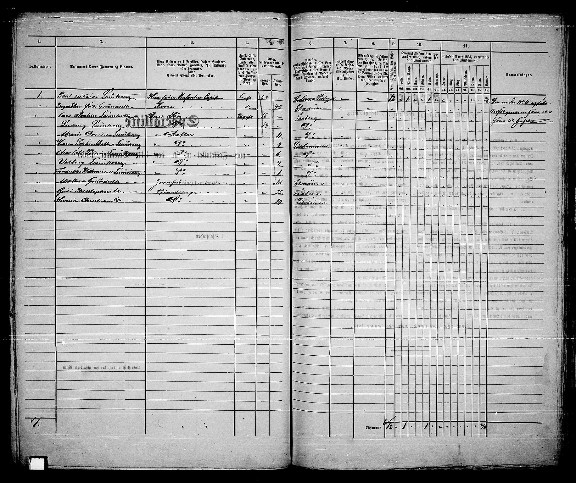 RA, Folketelling 1865 for 0501B Fåberg prestegjeld, Lillehammer kjøpstad, 1865, s. 207