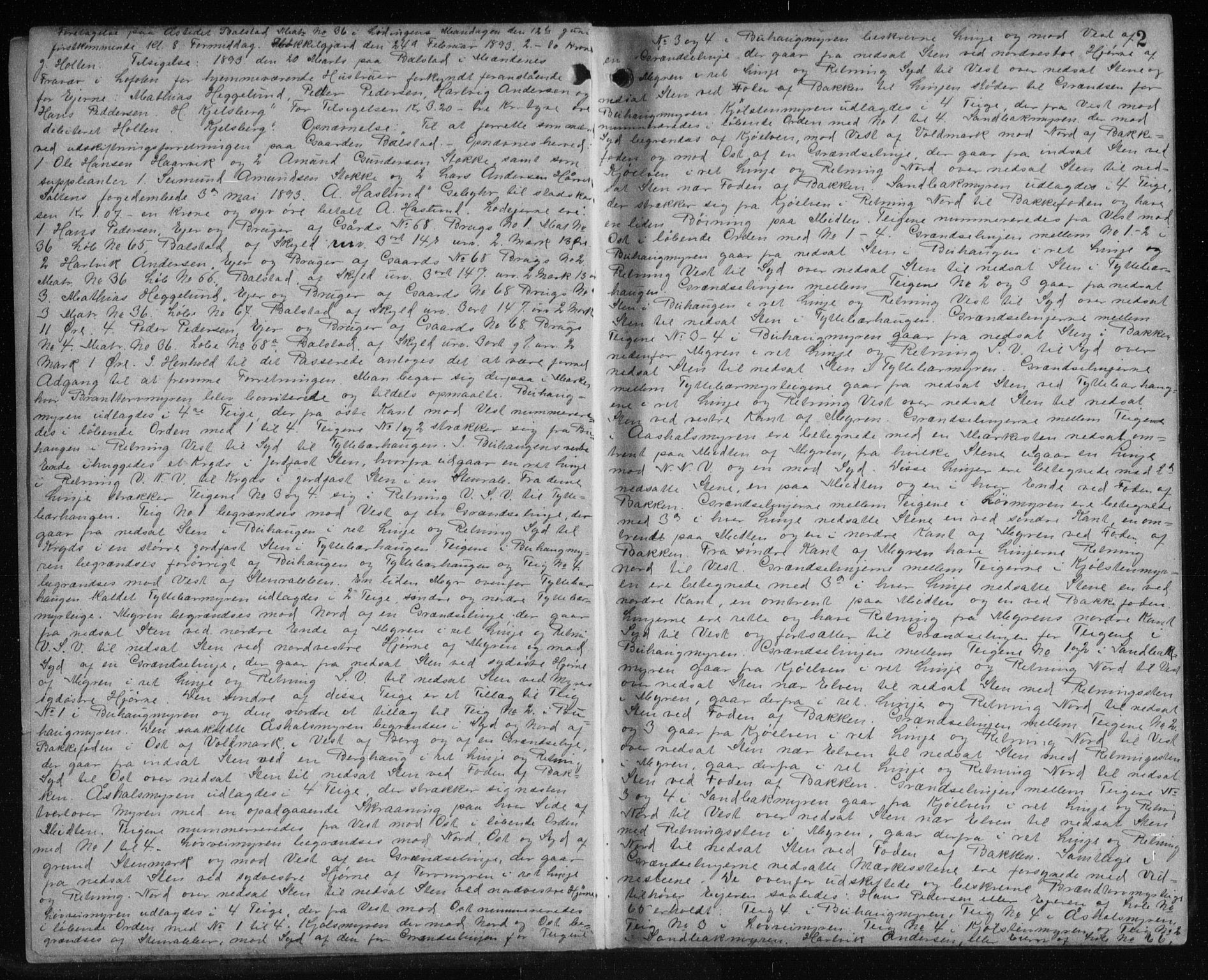 Salten sorenskriveri, SAT/A-4578/1/2/2C/L0027: Pantebok nr. X, 1894-1899, s. 2