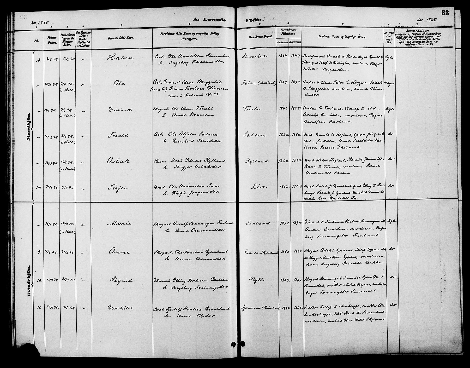 Åmli sokneprestkontor, AV/SAK-1111-0050/F/Fb/Fbc/L0004: Klokkerbok nr. B 4, 1889-1902, s. 33