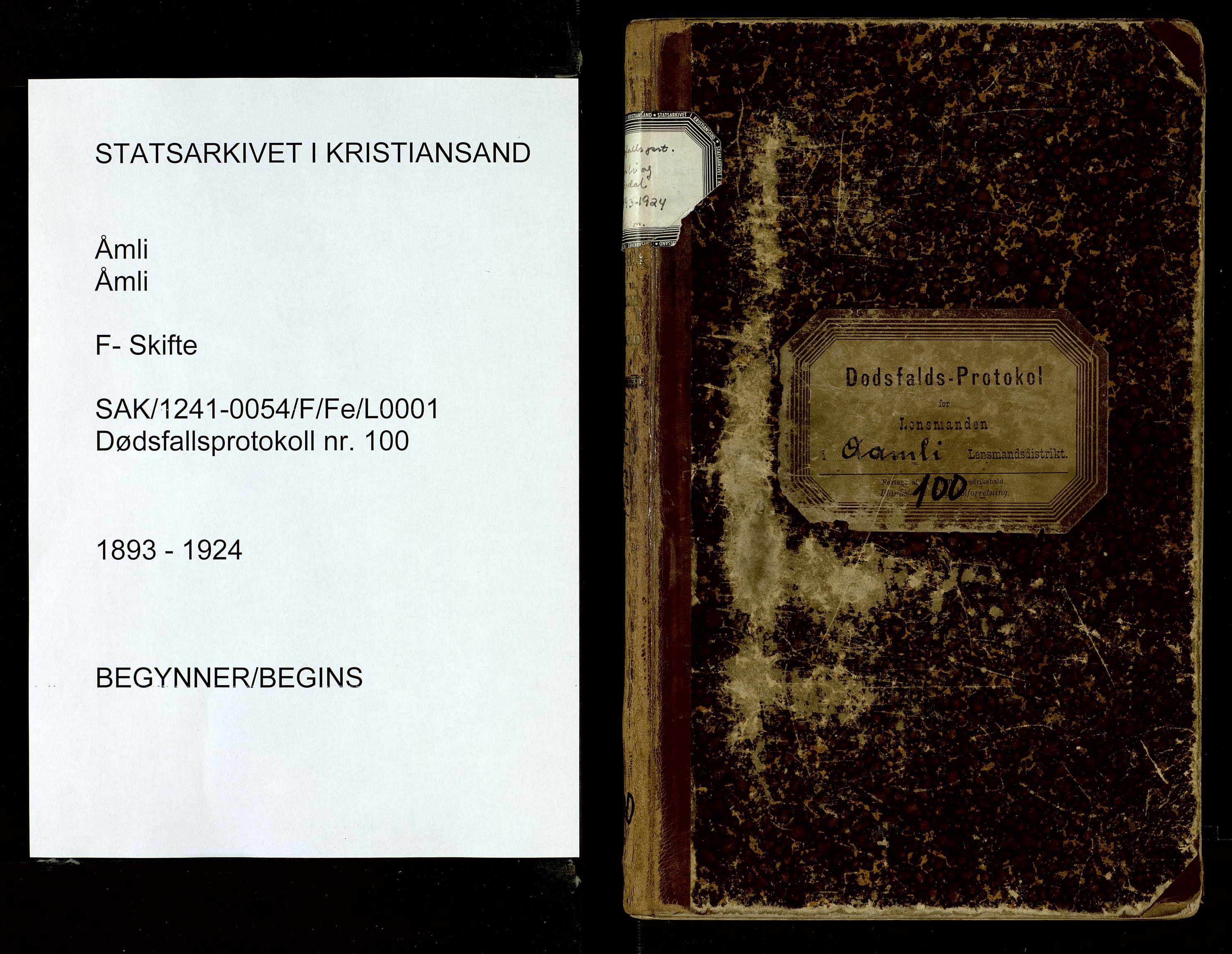 Åmli lensmannskontor, AV/SAK-1241-0054/F/Fe/L0001: Dødsfallsprotokoll nr 100, 1893-1924